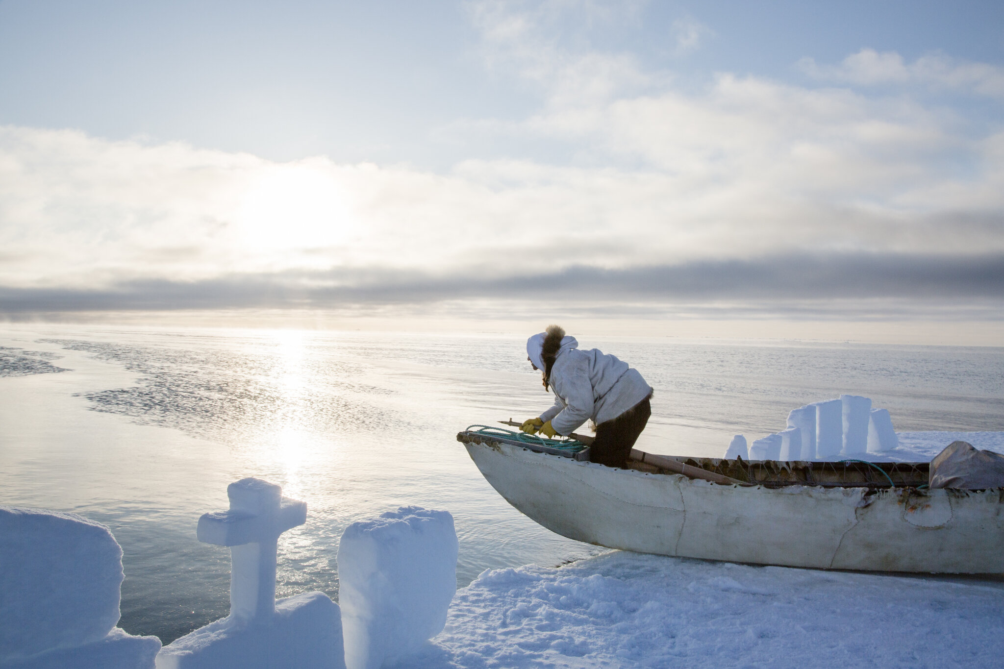  The annual spring bowhead whale hunt in Barrow, Alaska in April, 2016. Here Iñupiat harpooner and whaling captain Quincy Adams surveys the horizon for bowhead whales in a traditional sealskin canoe. Together with his crew, he camps out on the sea ic