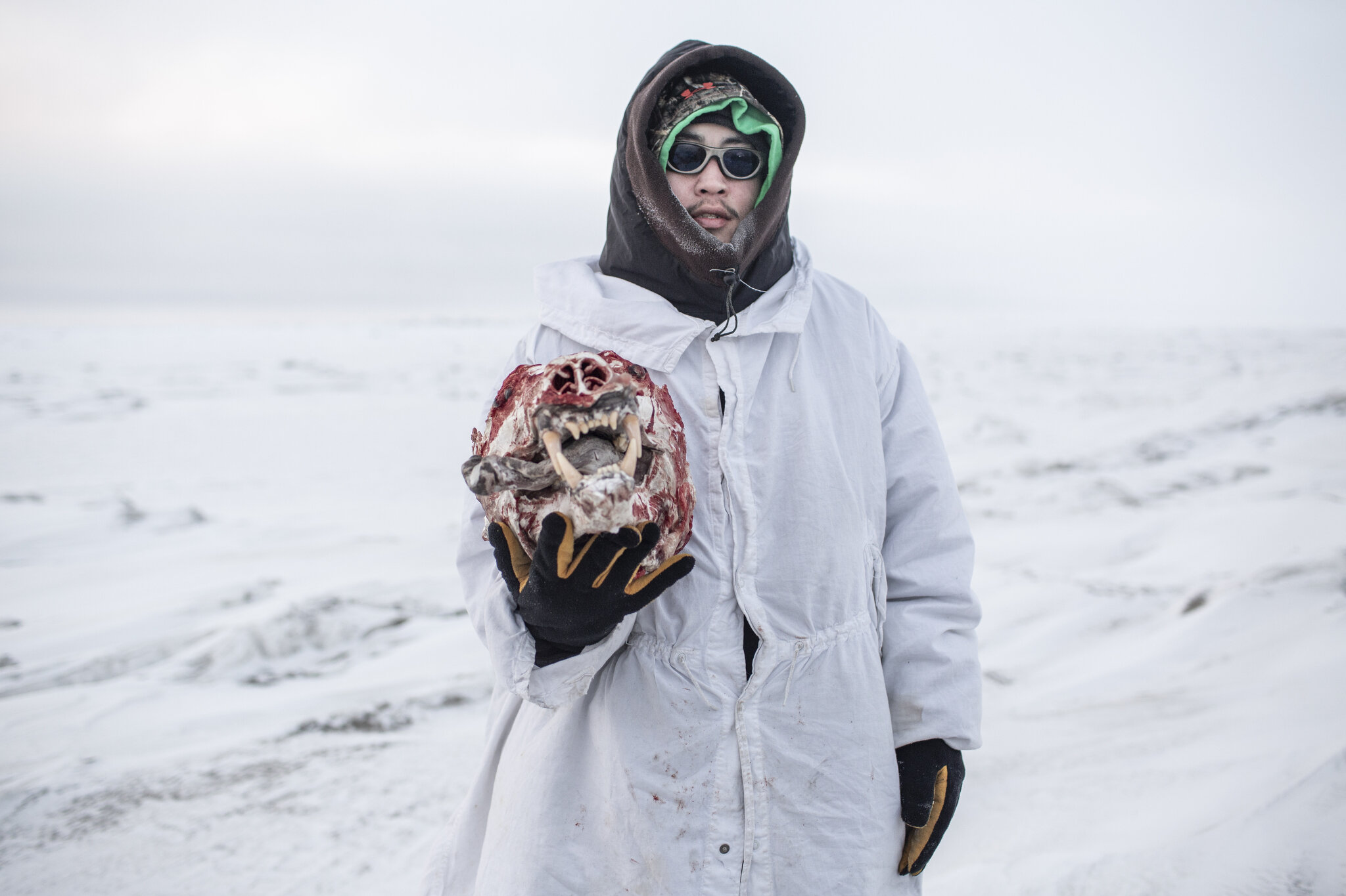  Nelson Nayokpuk of the Herman Ahsuak whaling crew in Utqiagvik, Alaska holds a polar bear skull they shot and killed the day before when it tried to eat their seal skin canoe. April 19th, 2016. Polar bears have grown increasingly hungry as melting s