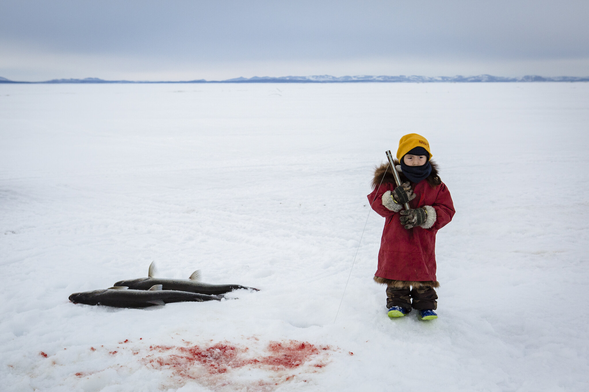  A young girl fishes on the frozen Kotzebue Sound in Kotzebue, Alaska. May 8th, 2015. In Kotzebue, Ice hole fishing for shellfish in the spring is both an important source of food and a popular past-time for Kotzebue residents. Sheefish are negativel