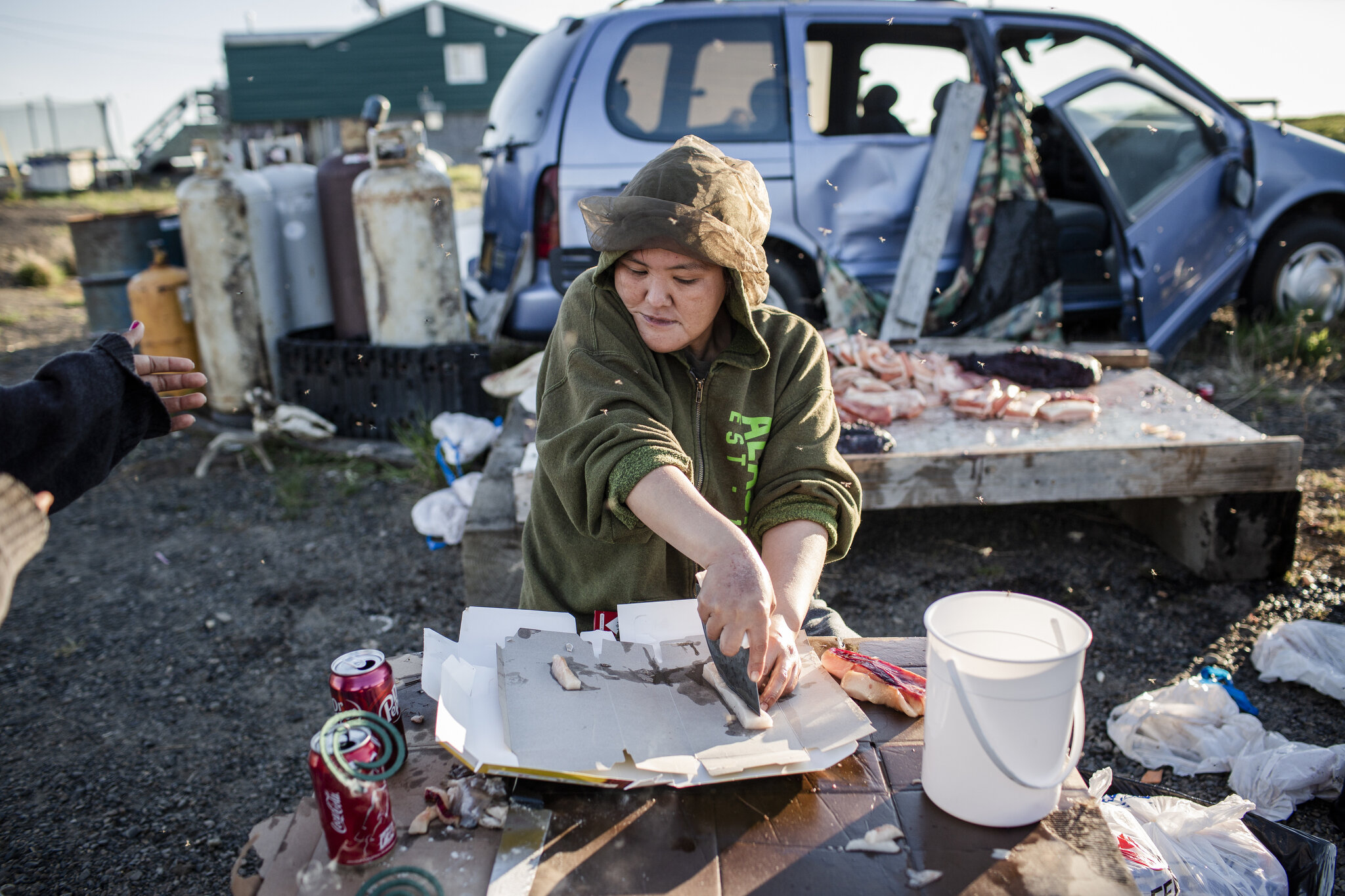  A woman processes beluga whale after days of harvesting the food source in Point Lay, Alaska, a tiny, isolated Inupiat village with a population of roughly 250 people located along the Chukchi Sea. June 23rd, 2015. Point Lay has become well known as