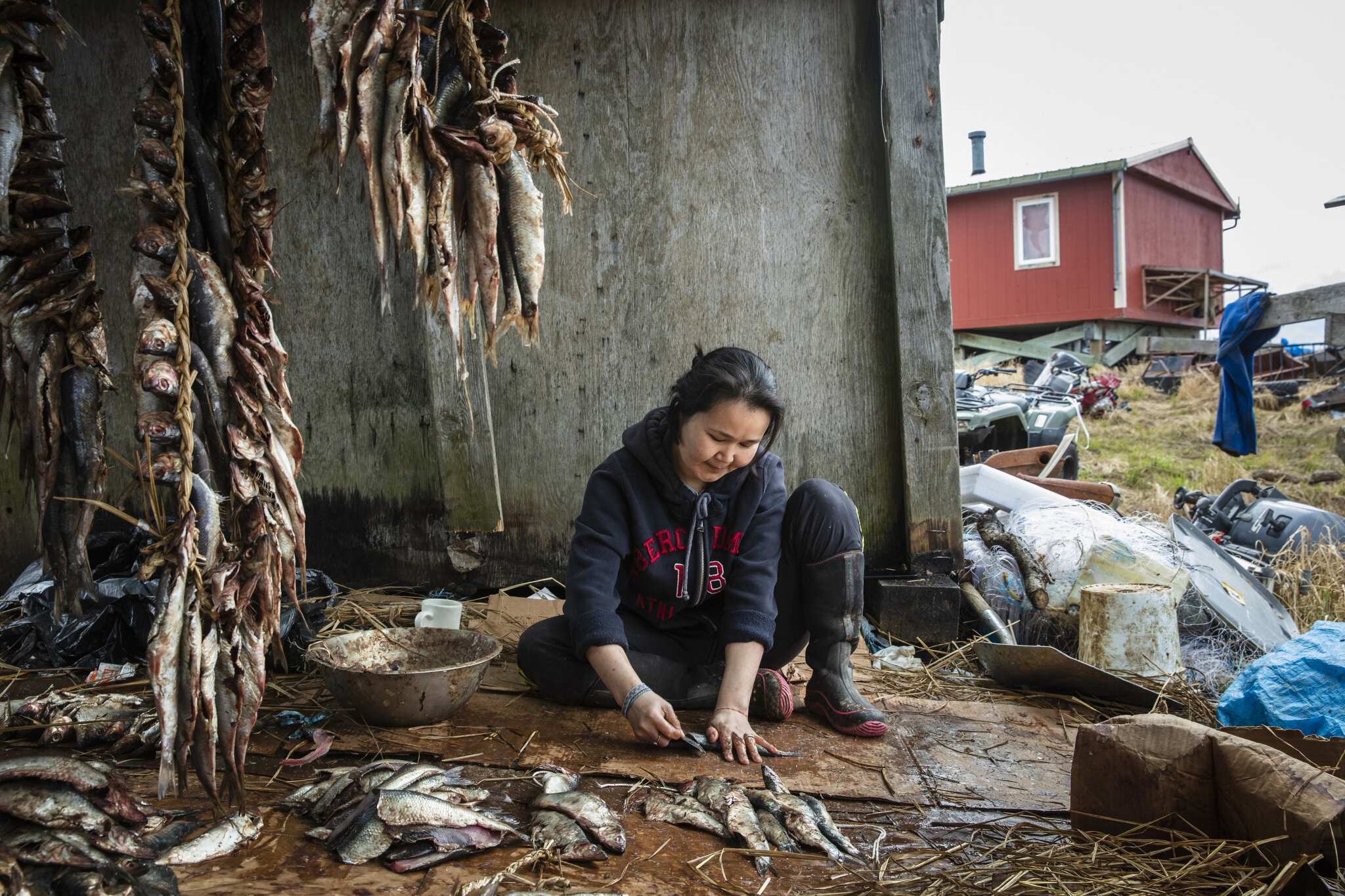  Naun Lala braids freshly caught river herring in order to dry the fish out in the sun in Newtok, Alaska, a Yupik village of roughly 380 people. May 26th, 2019. Subsistence-based practices such as gathering eggs, hunting, and fishing are a way of lif
