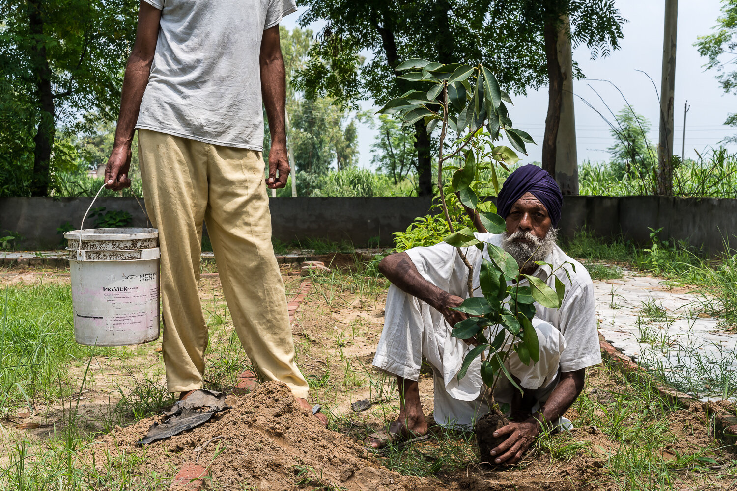  Community members including Charn Das, right, gather to plant trees in a park named for Sant Baba Balbir Singh Seechewal, a local Sikh guru who has spearheaded an environmental movement based on simple, low-cost solutions, on Sunday, August 4, 2019 