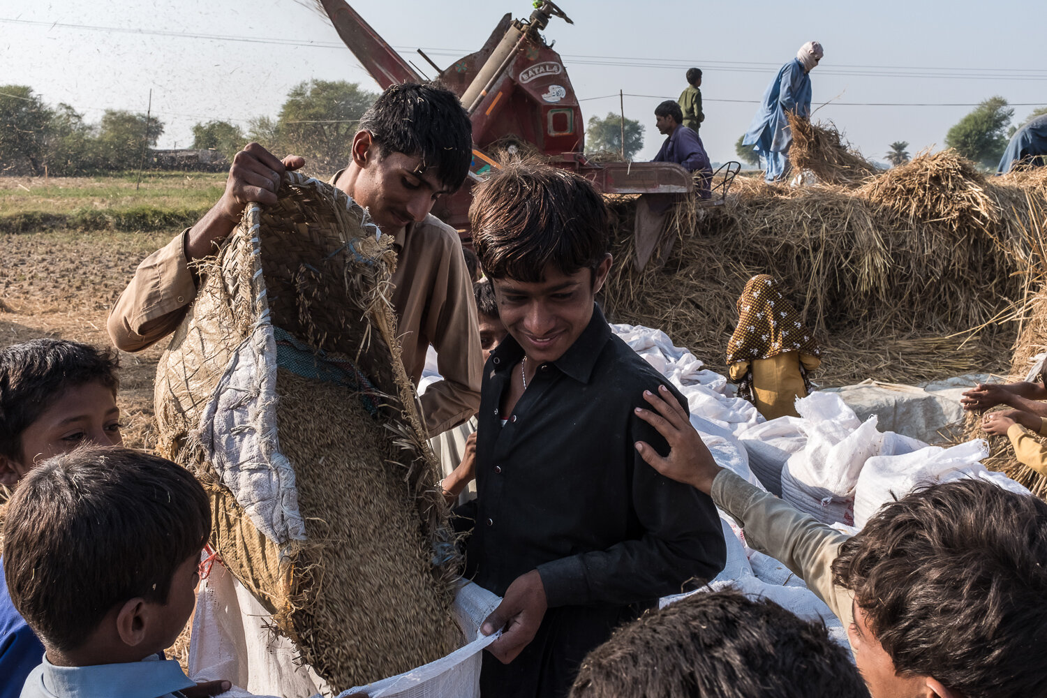  Local villagers, most of whom belong to one extended family, threshing rice on Tuesday, November 28, 2017 in Khairpur Nathan Shah, Sindh, Pakistan. Sindh receives little rain outside of the monsoon season, and most agriculture is made possible by ir