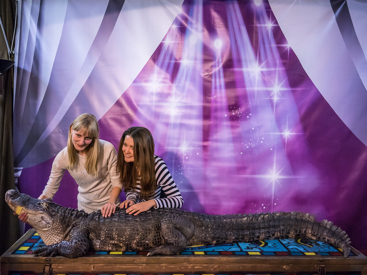  Women attending the Belarus State Circus pose for a picture with a crocodile named Marta on Wednesday, November 25, 2015 in Minsk, Belarus. 