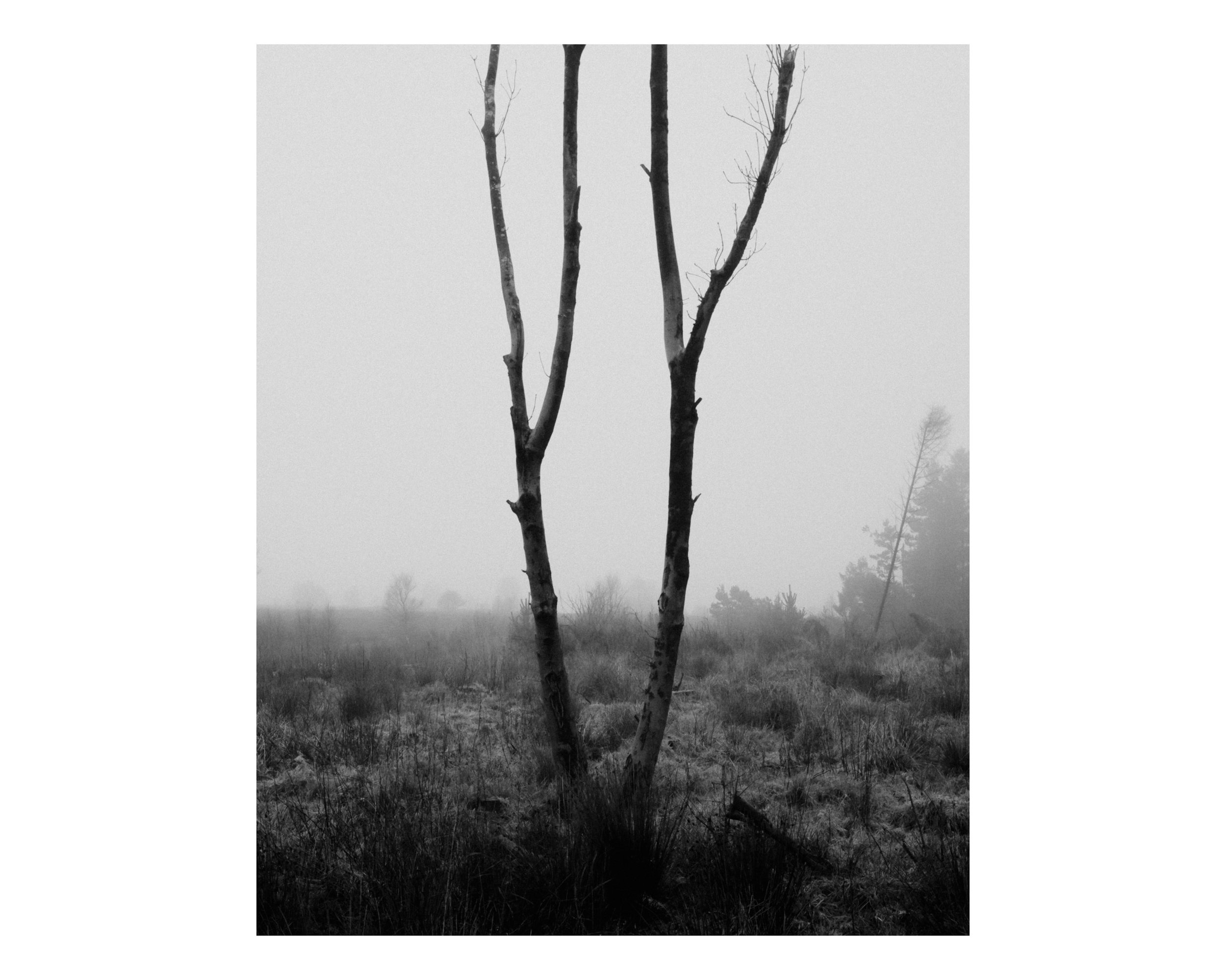 IMG_7383 (1).JPG