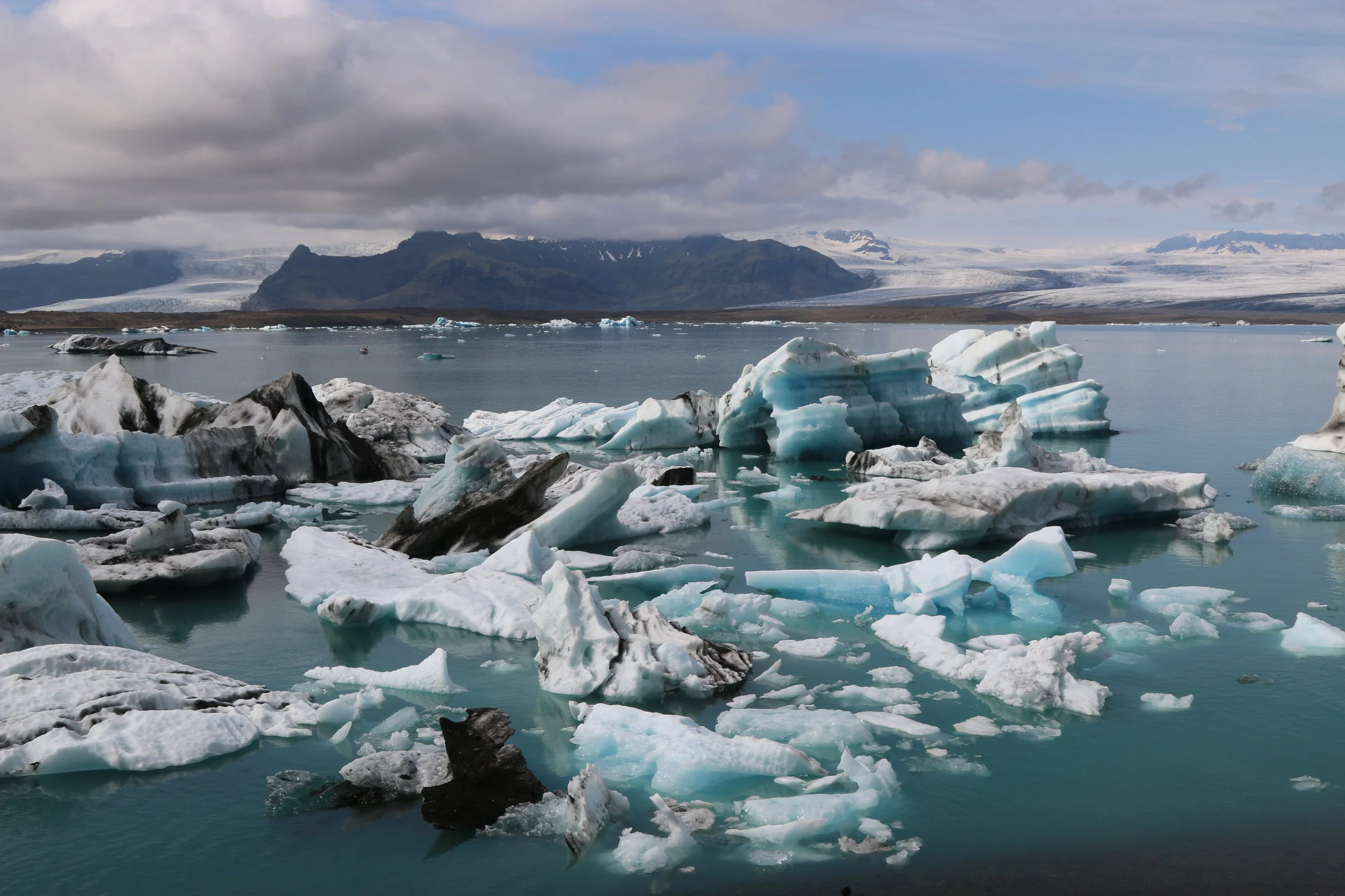 mina-hamedi-publications