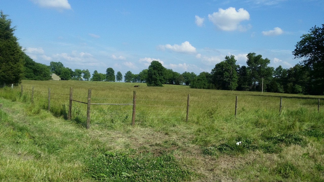 WP_20150606_001.jpg
