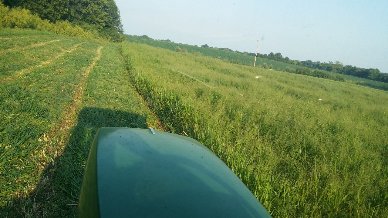 WP_20150904_001.jpg