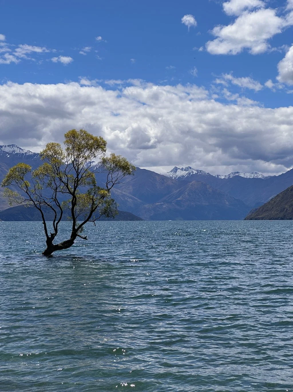 Wanaka