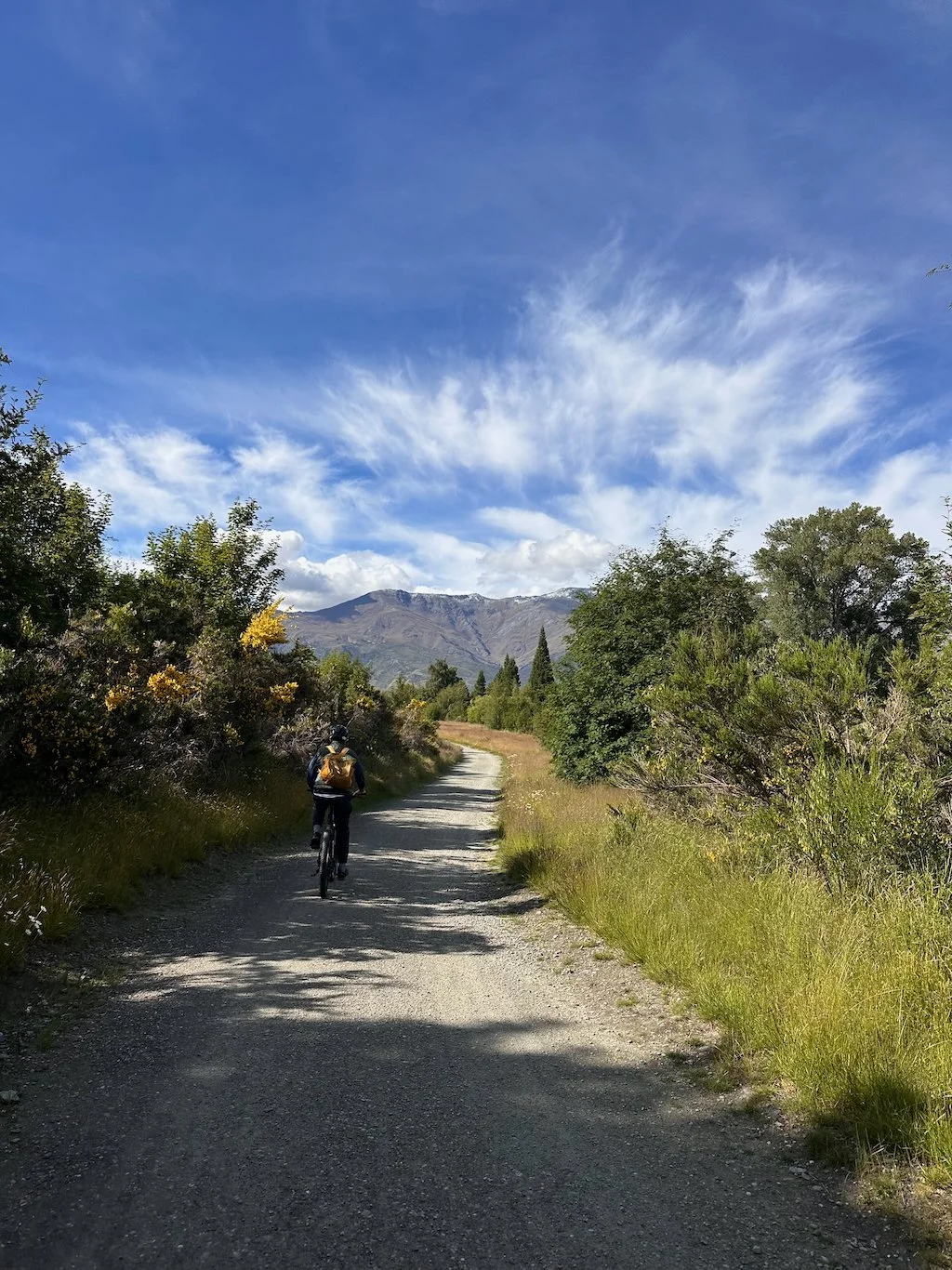 Ebiking is our favorite way to zip around