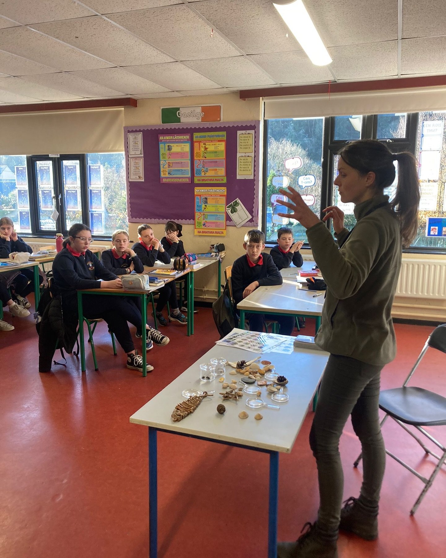 The 6th class had a fantastic morning with Liz from Biodiversity in Schools. They explored the local environment, taking an insightful walk through Kilmagig Woods and around the school grounds. In the outdoor classroom, they learned about the diverse