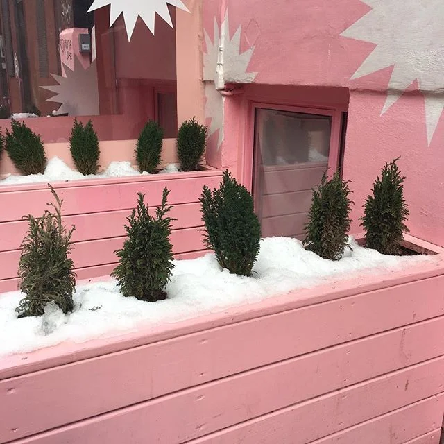 Stumbled upon #pietronolita a few weeks ago and can't stop thinking about how I should have gone in. #nyc #citygirls #nolita #homeawayfromhome #pink #tree #nature #snow #downtown but #uptown girls. #resturant #decor #interiordesign #architecture #col