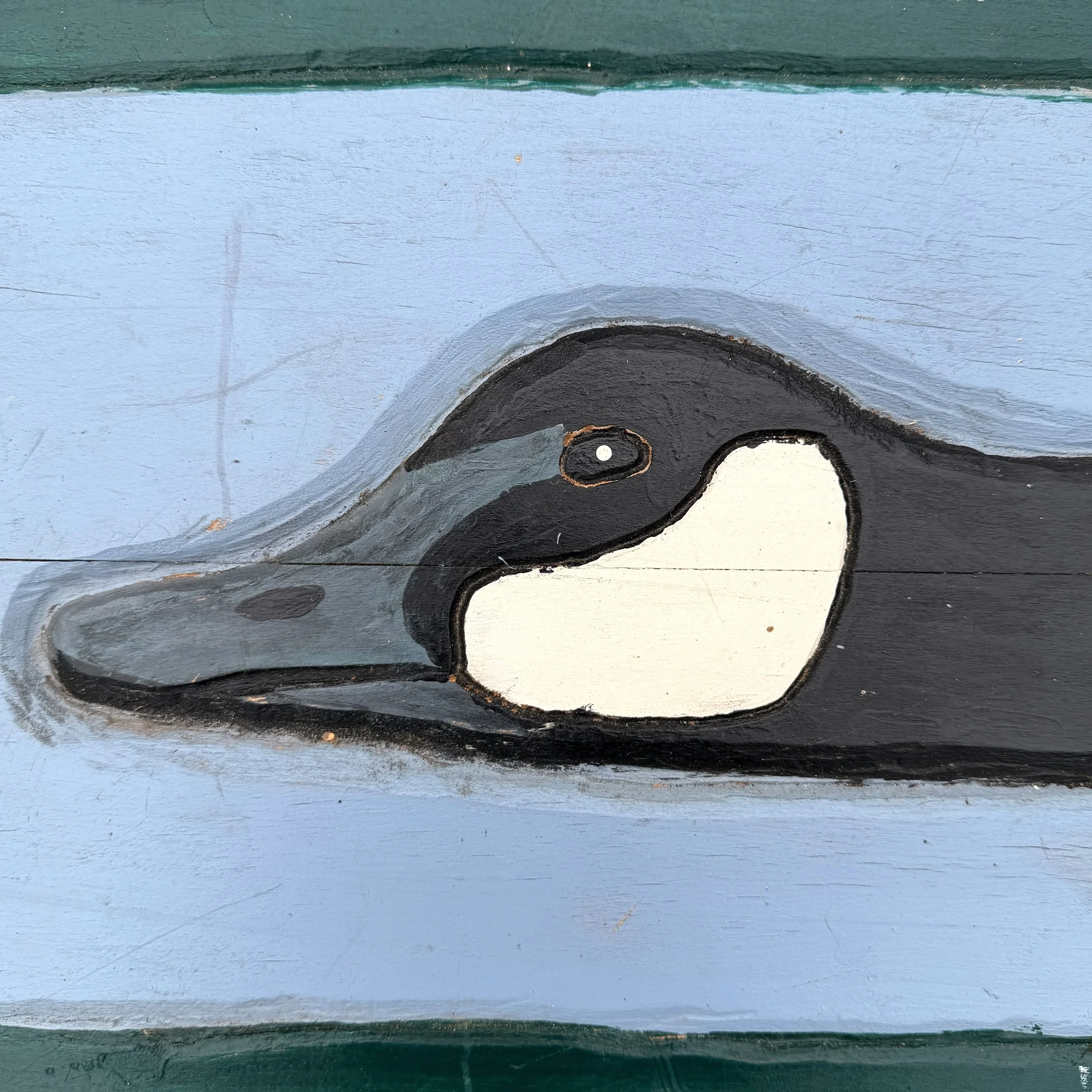 Photo Feb 17 2026, 2 58 52 PM (5).jpg