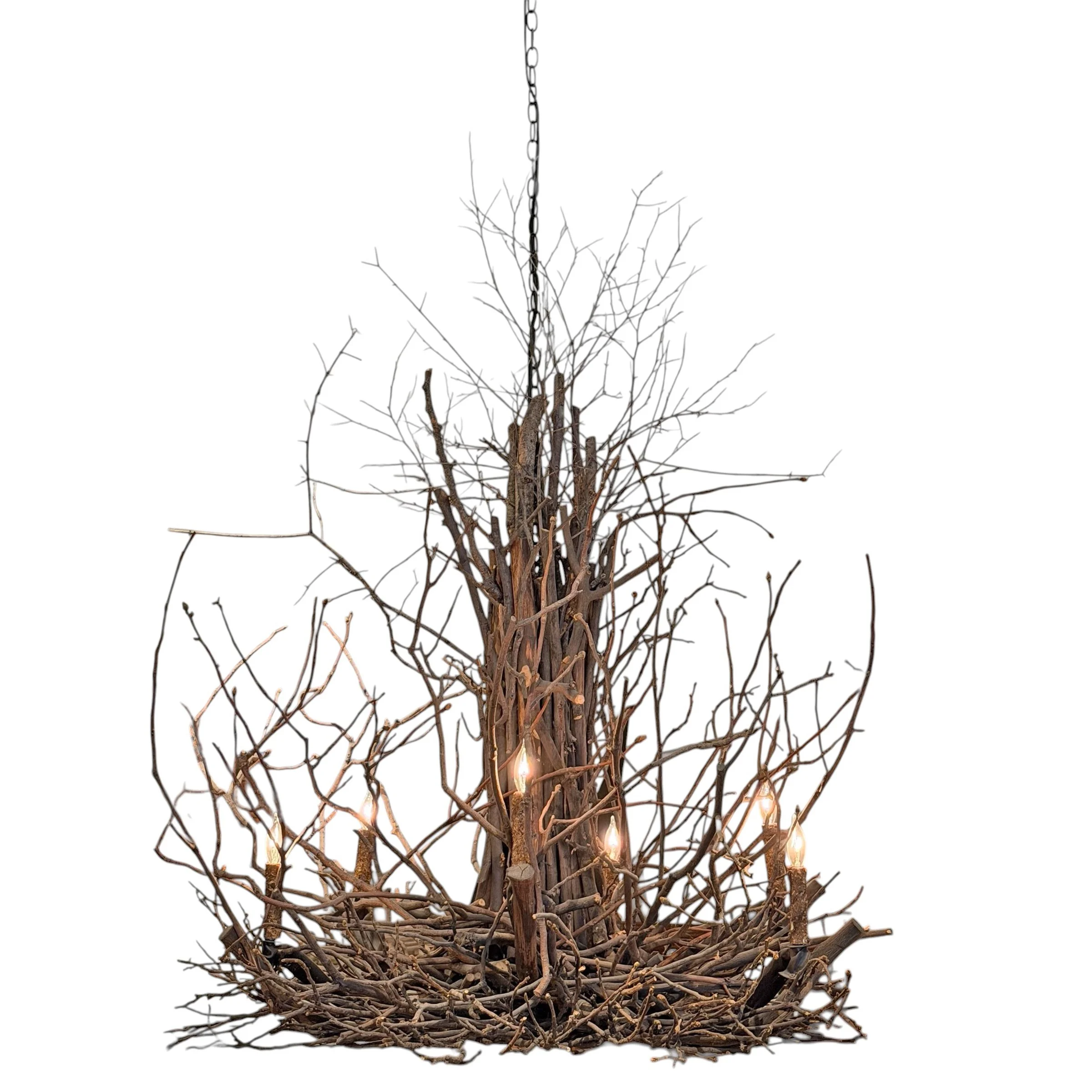 Photo Mar 31 2026, 3 28 04 PM.jpg