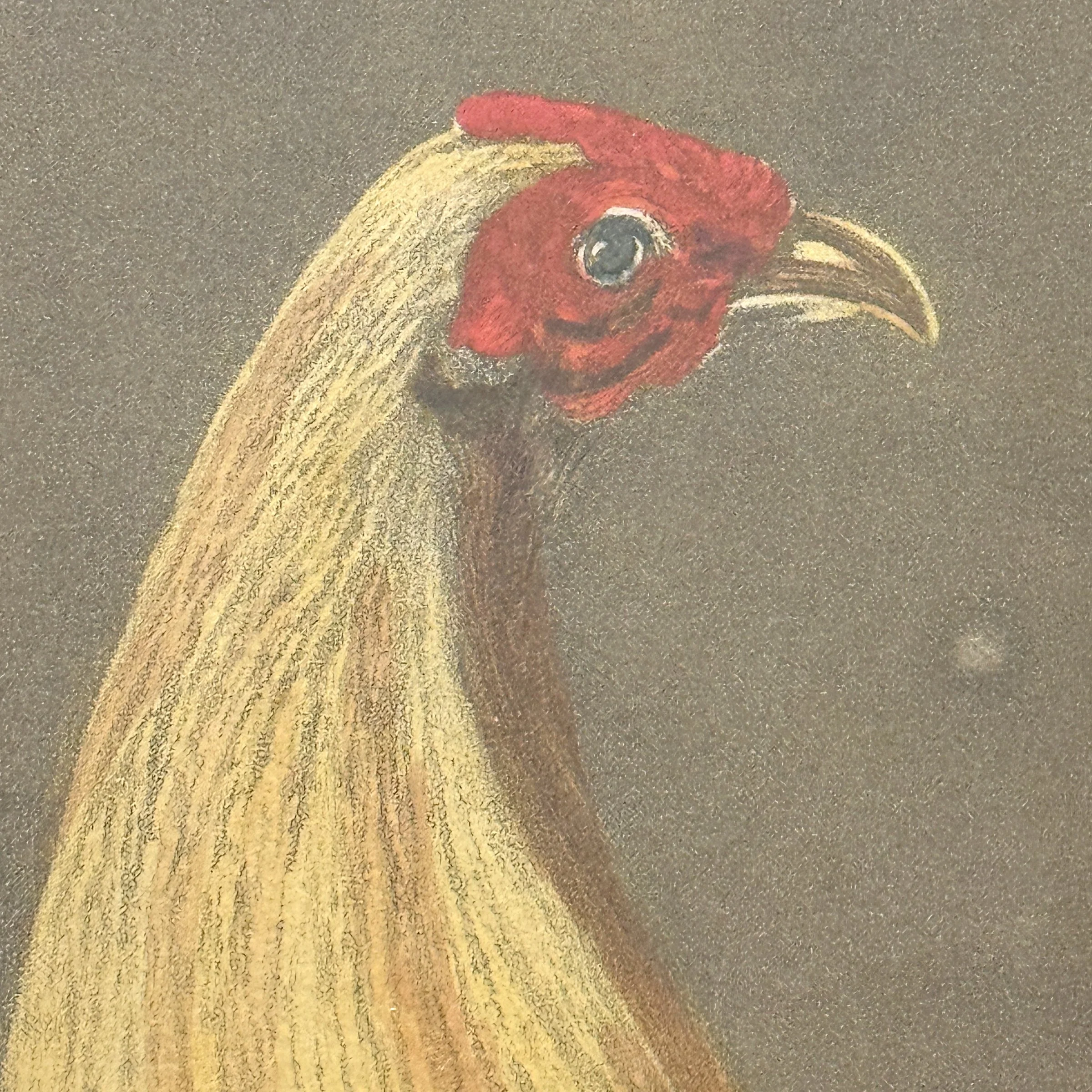 Photo Apr 08 2025, 10 29 49 AM.jpg