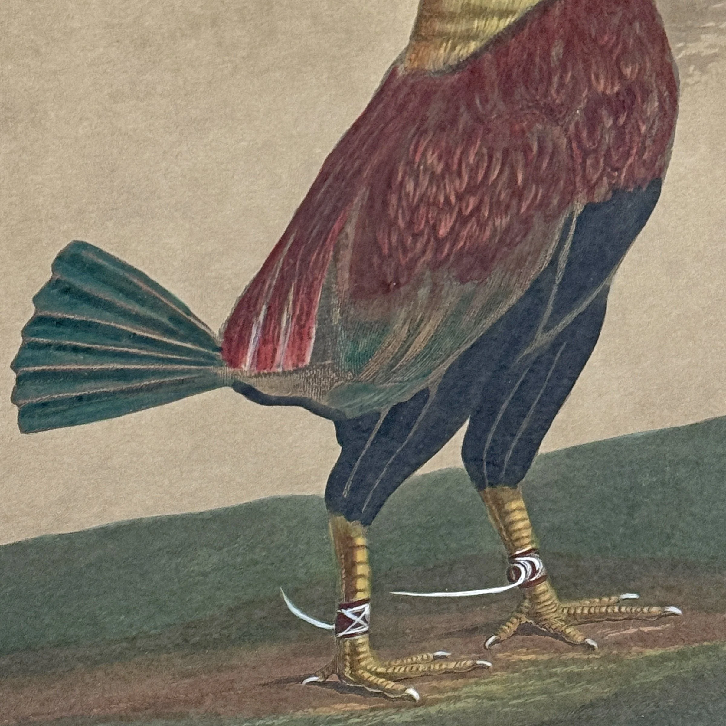 Photo Apr 08 2025, 10 29 05 AM.jpg