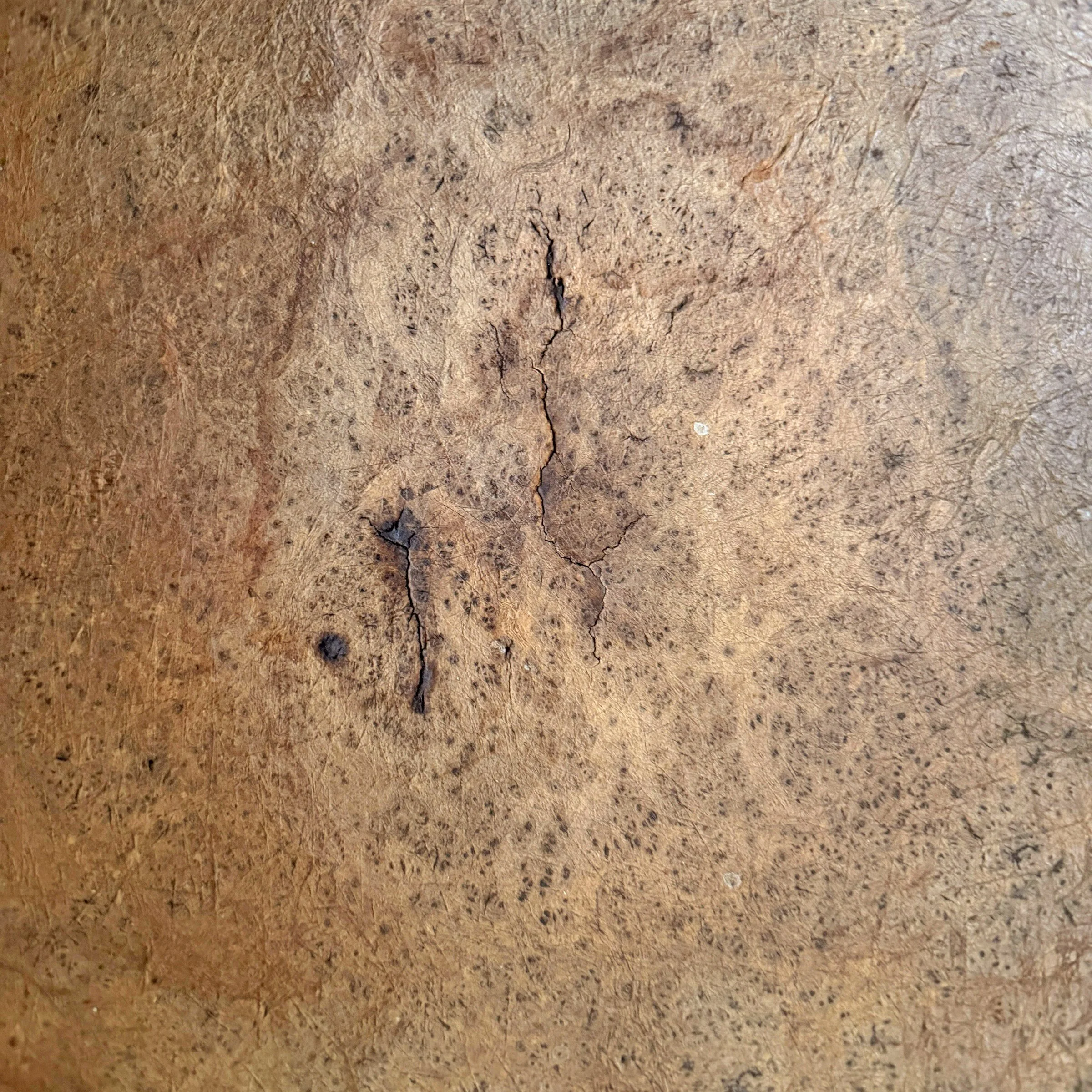 Photo Mar 05 2026, 12 51 00 PM (1).jpg