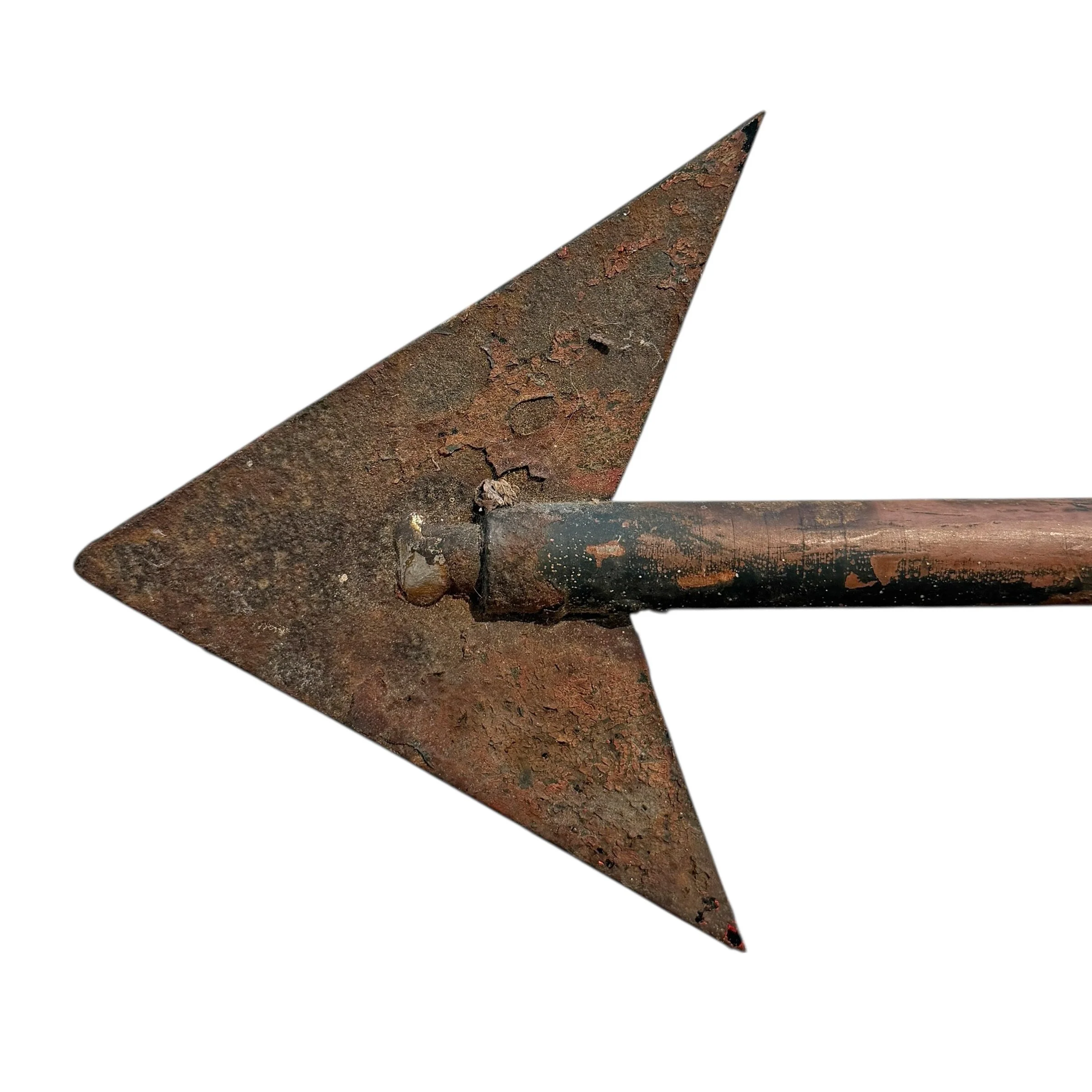 Photo Mar 24 2026, 3 15 50 PM (4).jpg