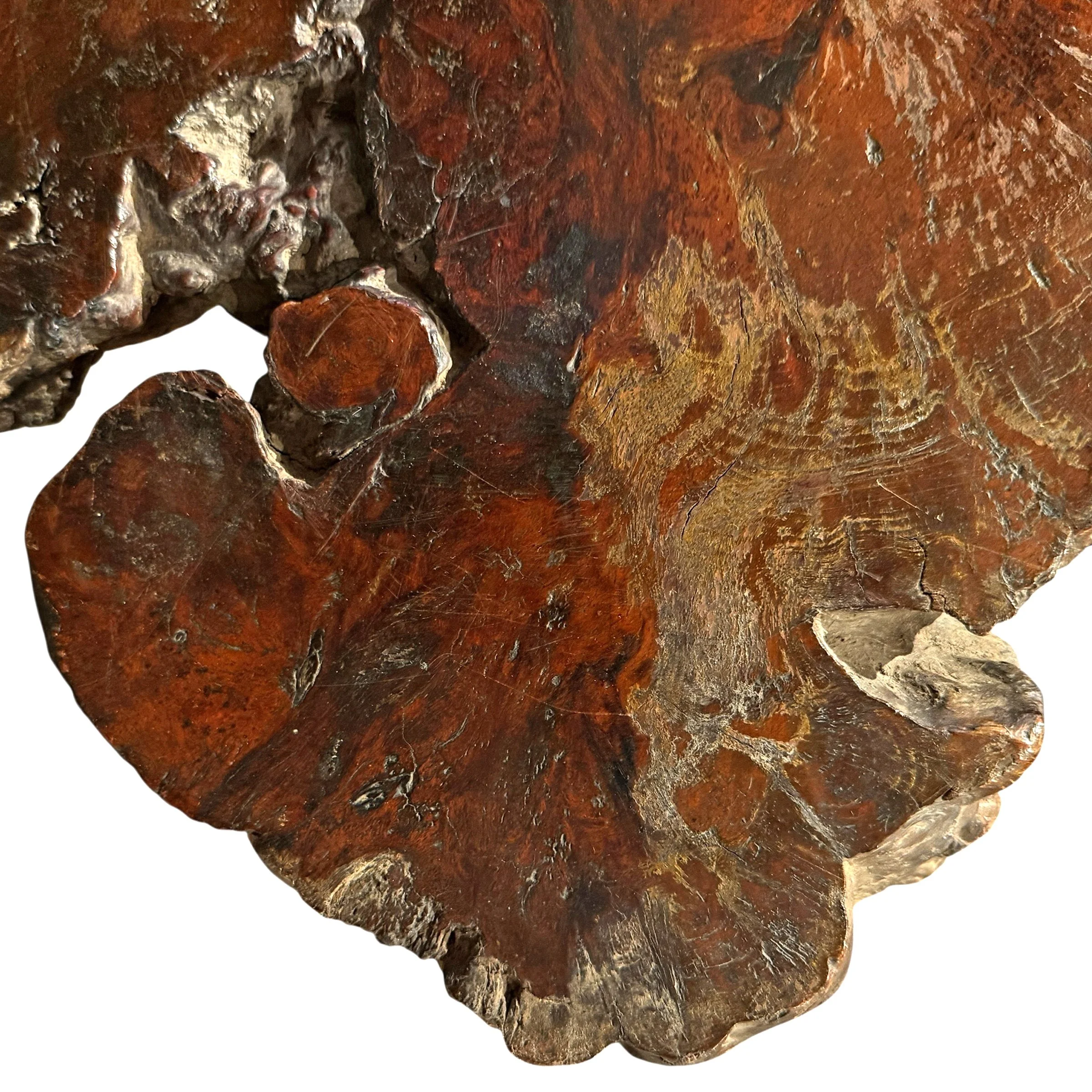 Photo Mar 14 2026, 12 26 04 PM (7).jpg