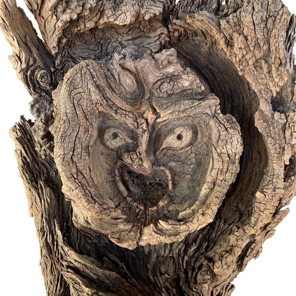 Burl