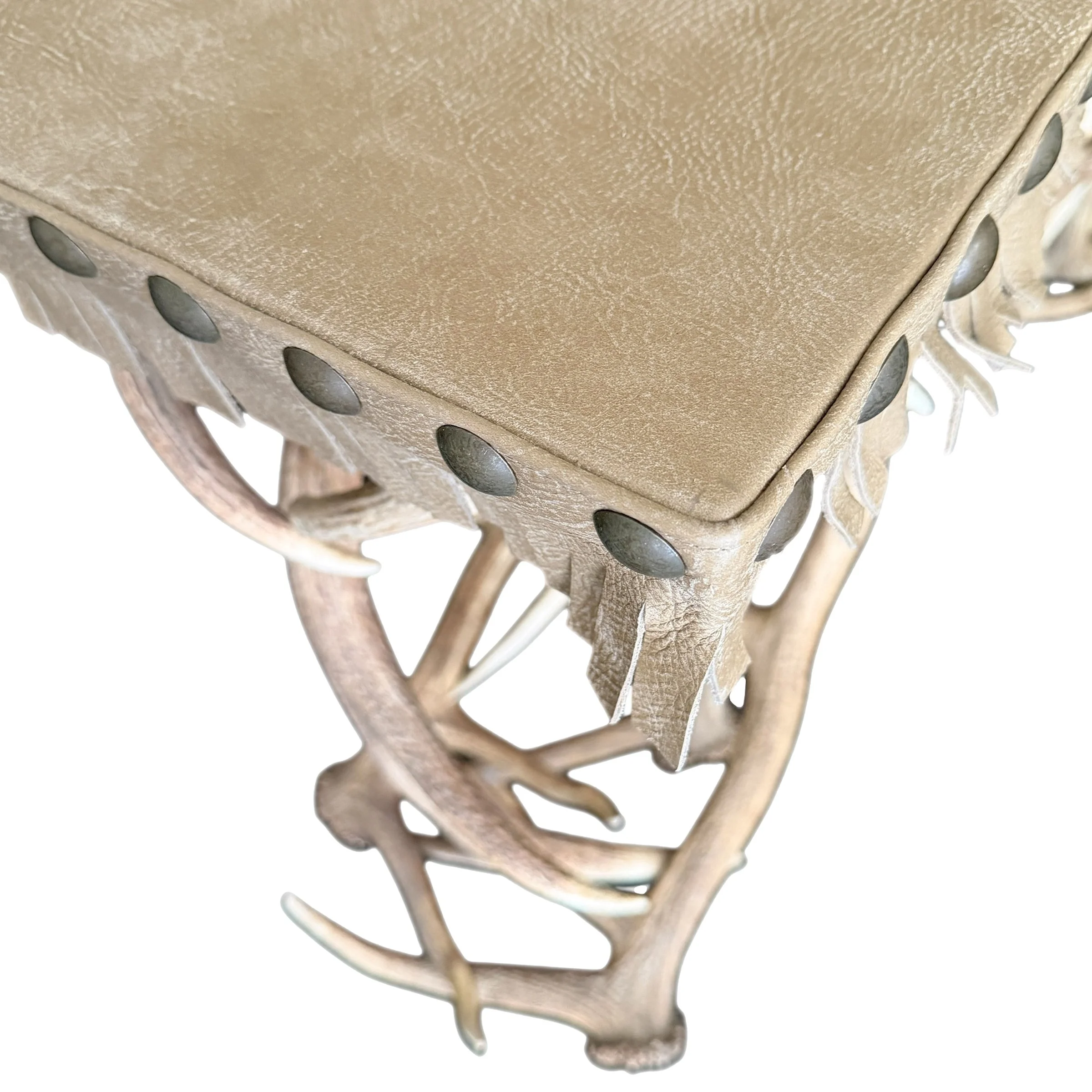 Photo Jan 28 2026, 2 26 49 PM (12).jpg