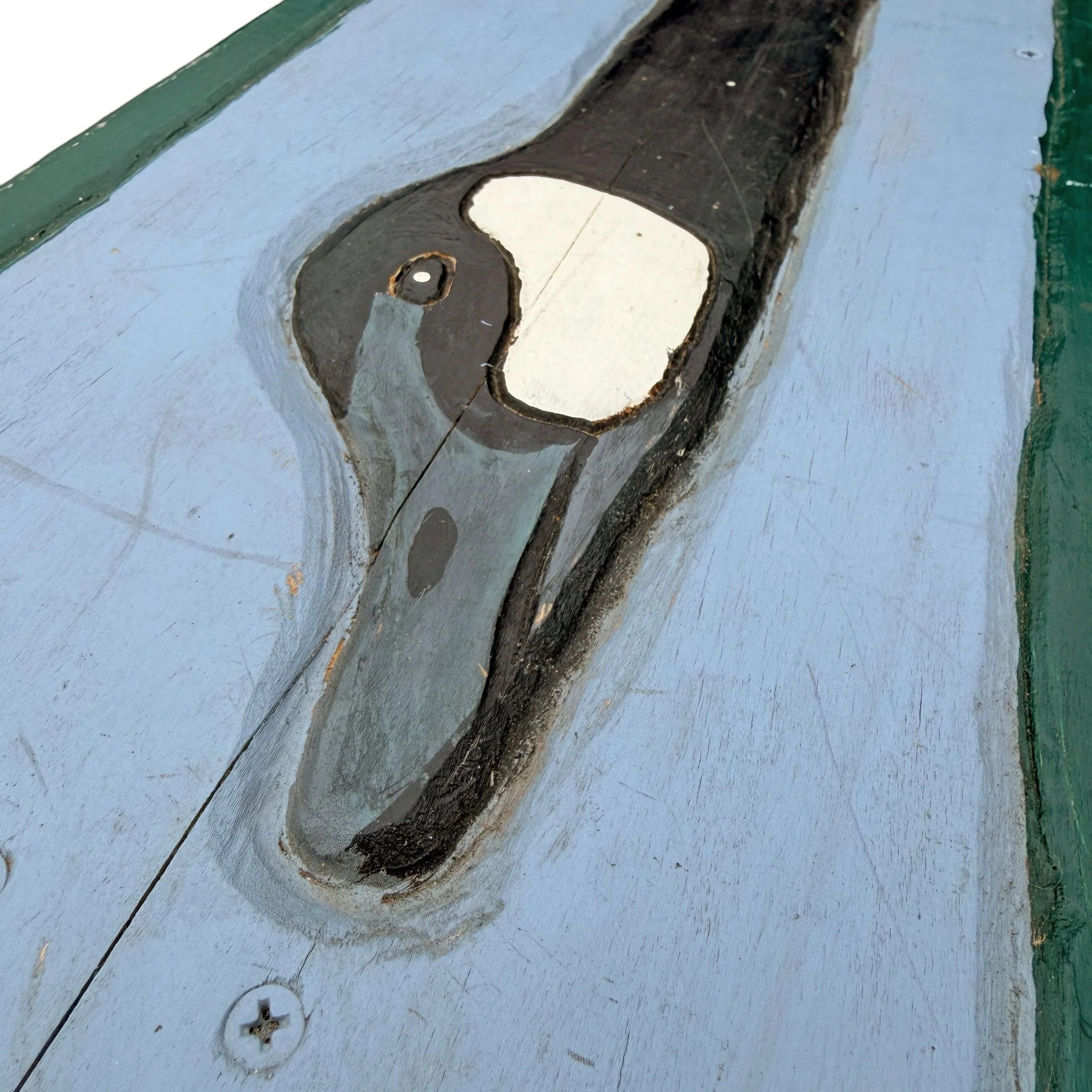 Photo Feb 17 2026, 2 58 53 PM (1).jpg