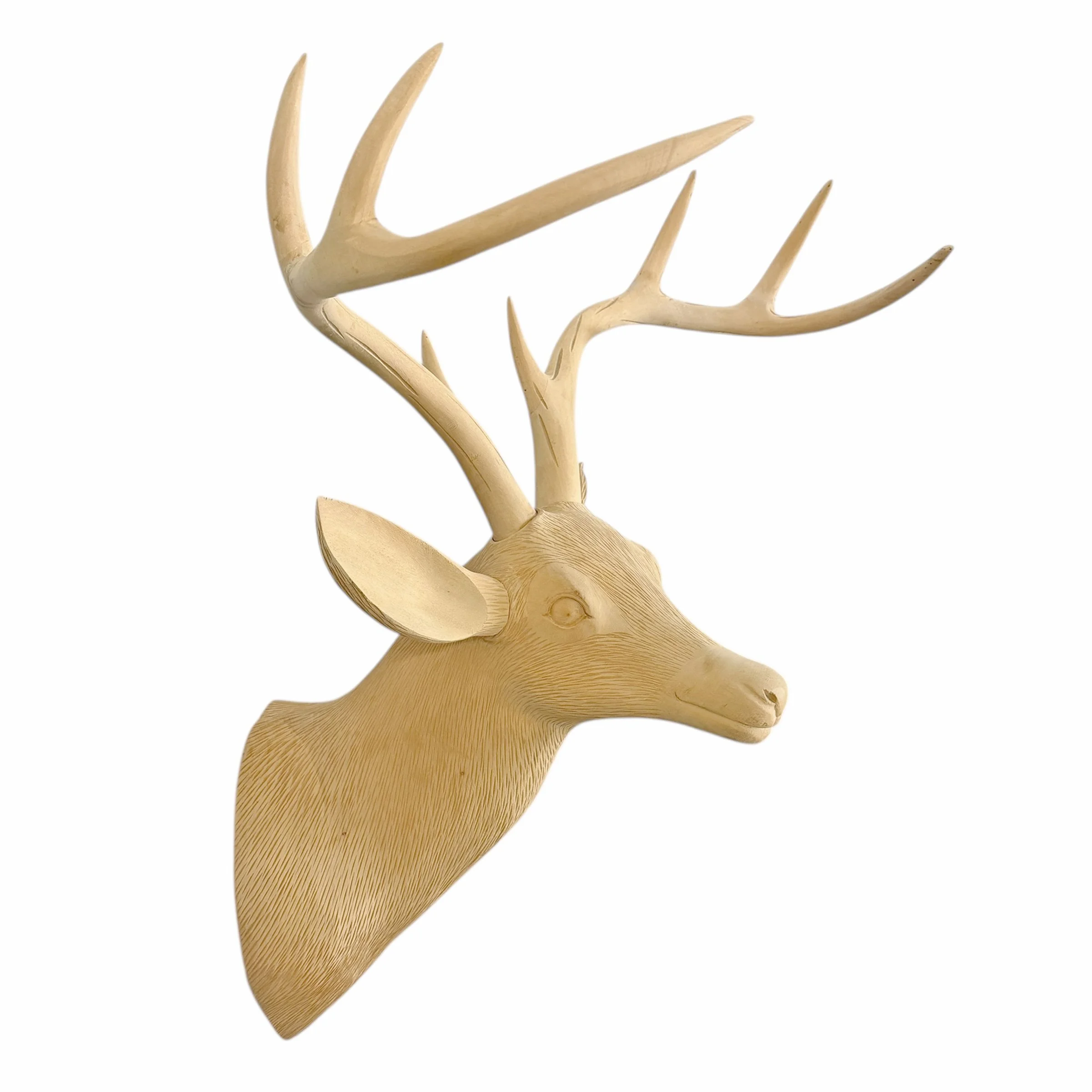 Photo Oct 30 2025, 11 38 47 AM.jpg