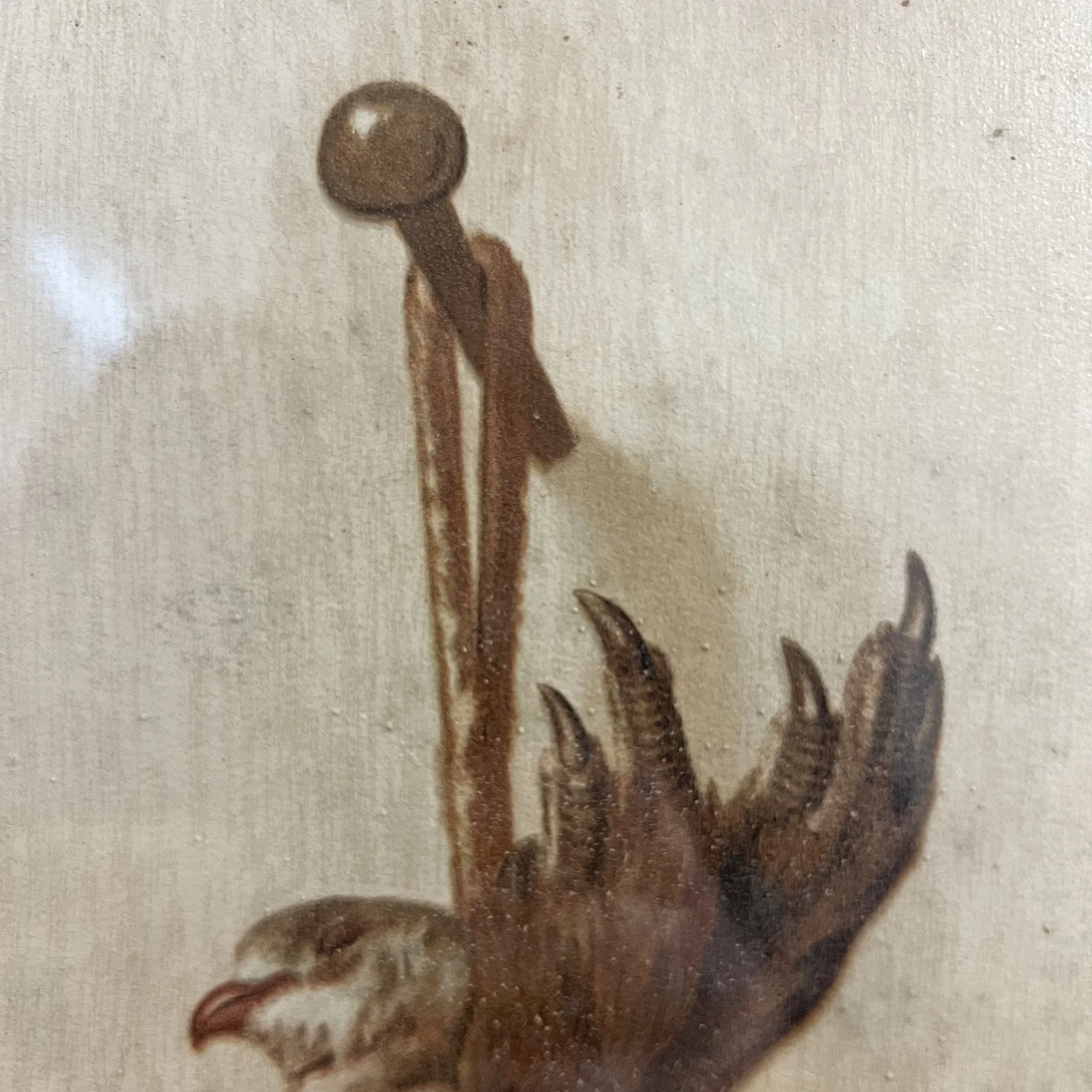 Photo Feb 05 2024, 9 00 15 AM.jpg