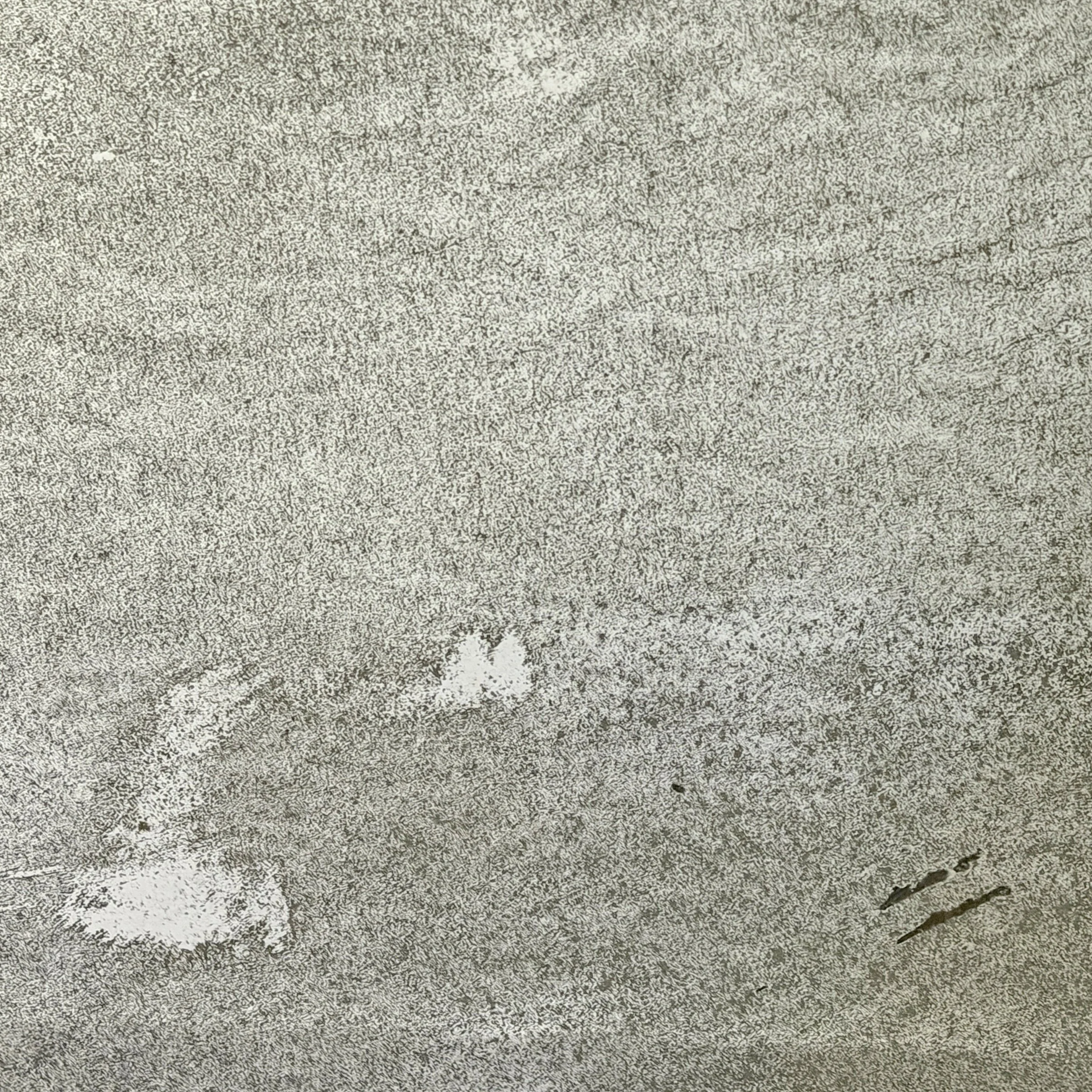 Photo Feb 16 2026, 11 16 59 AM (25).jpg