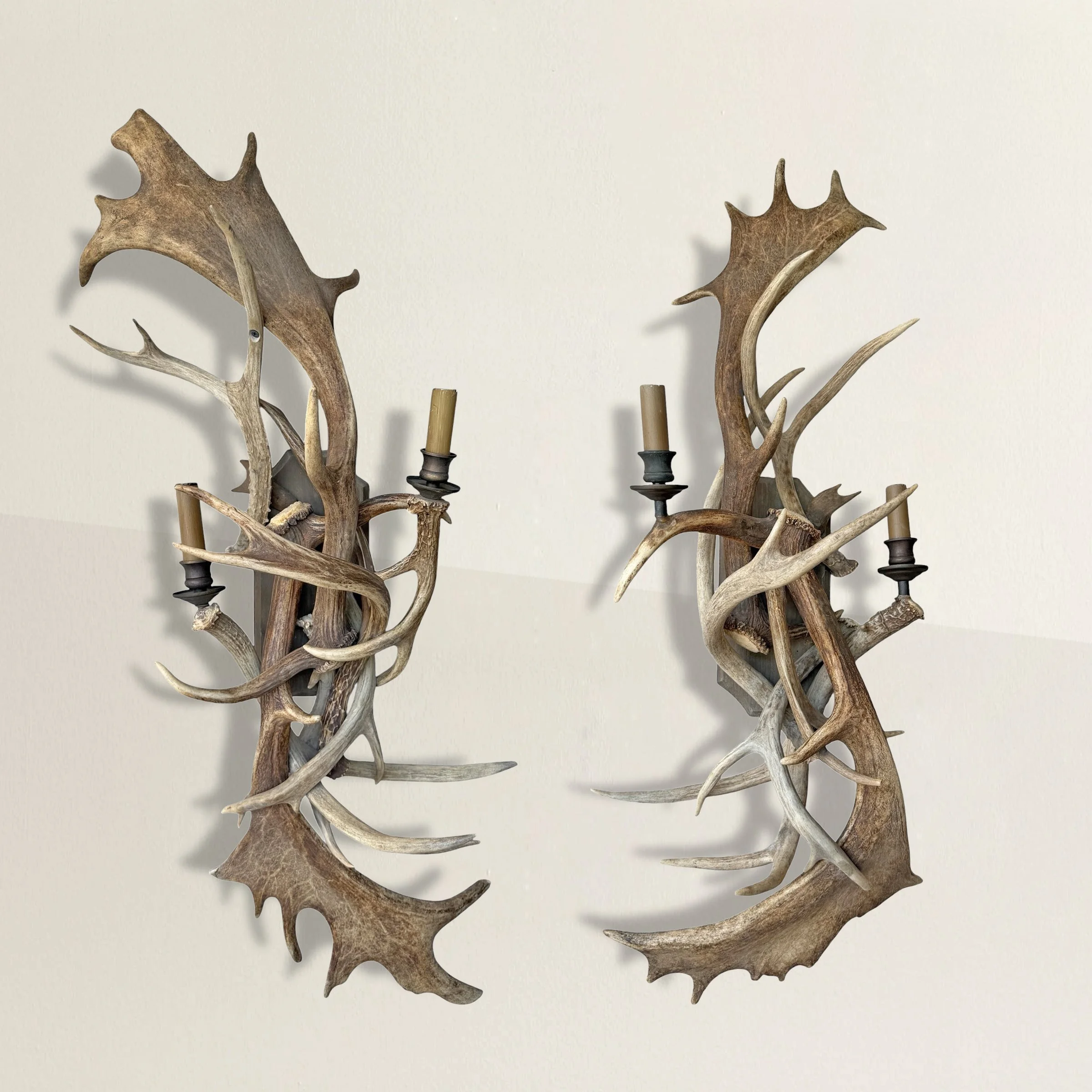 Fallow Deer Antler Sconces.jpg
