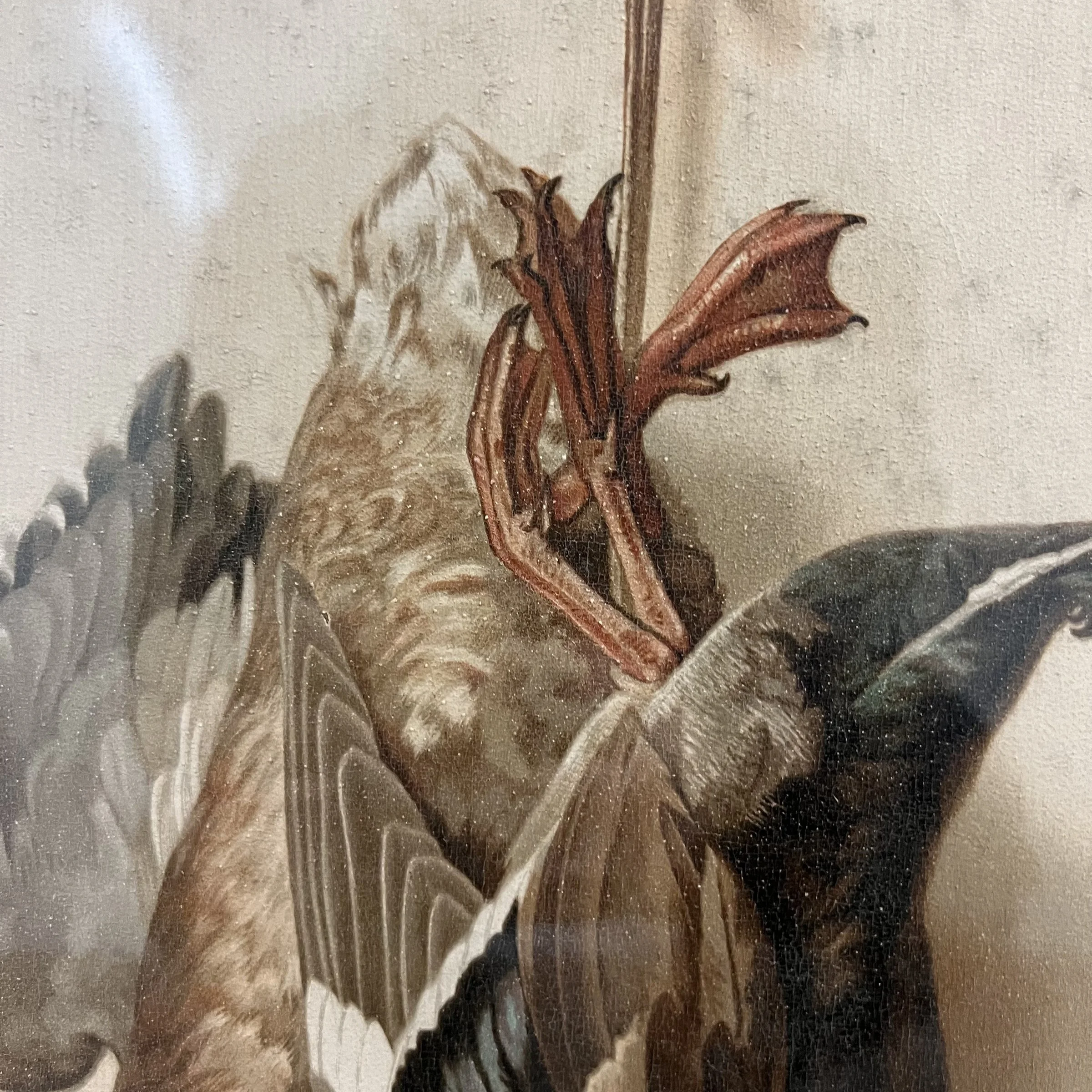 Photo Feb 05 2024, 9 01 09 AM.jpg