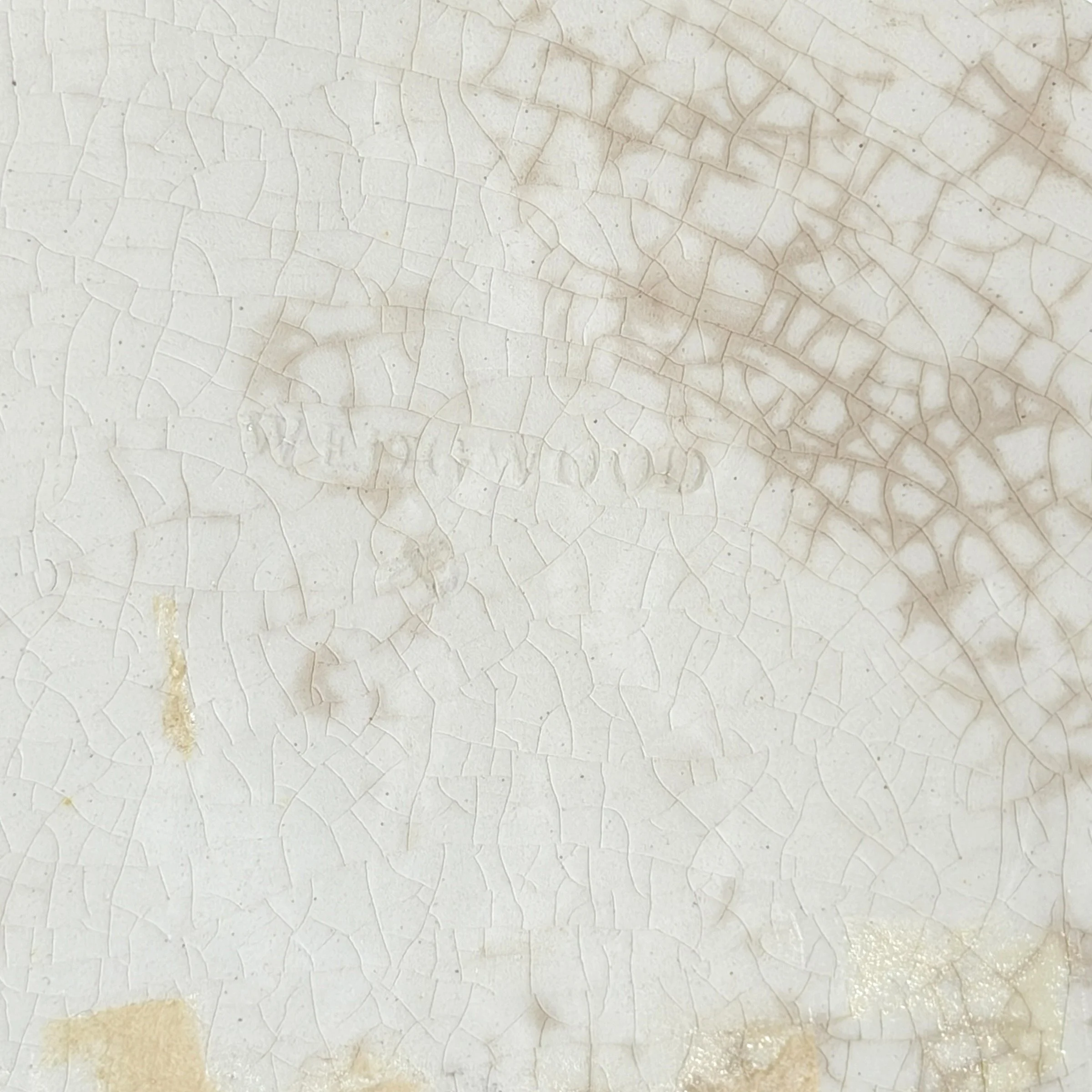 Photo Feb 16 2026, 11 17 42 AM (10).jpg