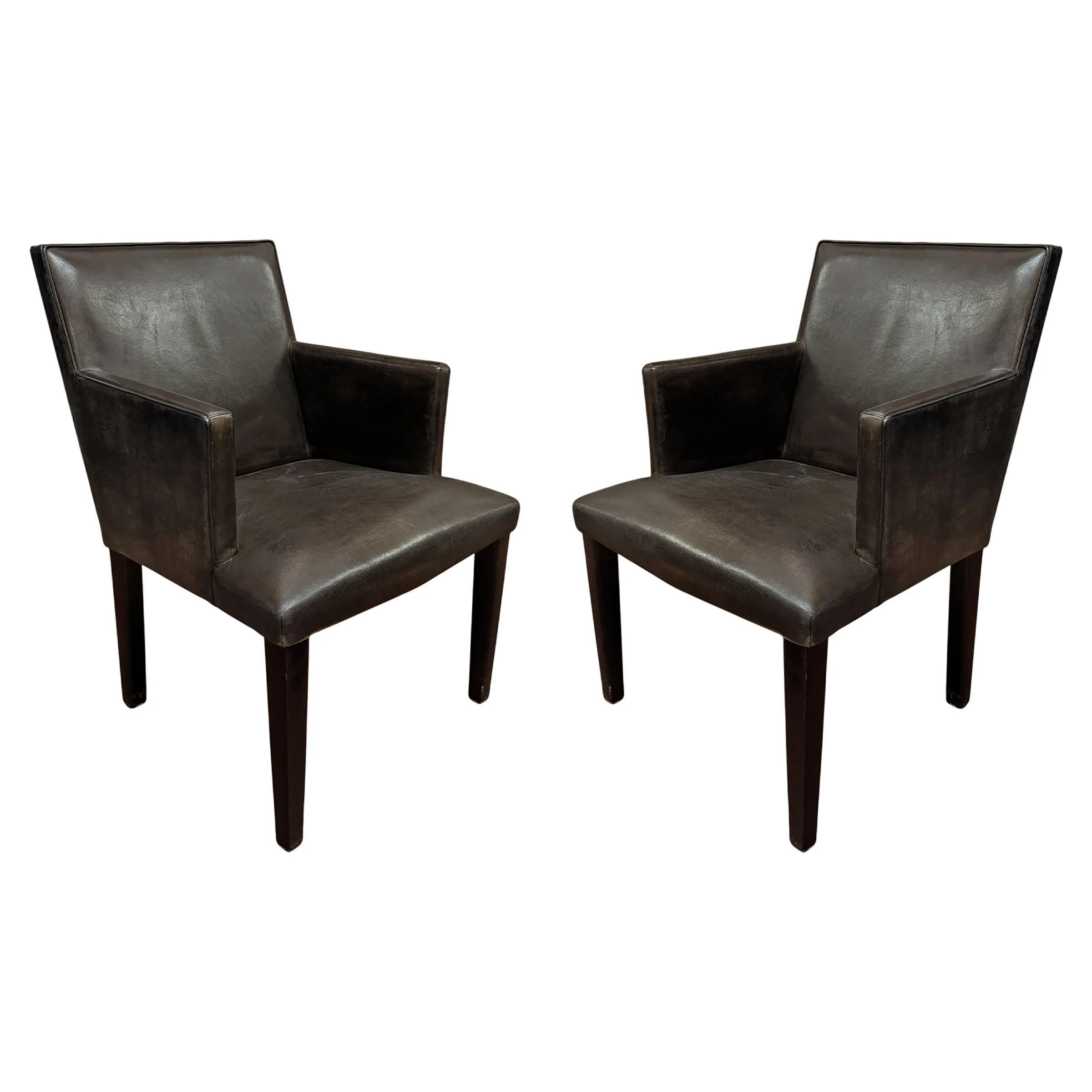 Pair.jpg