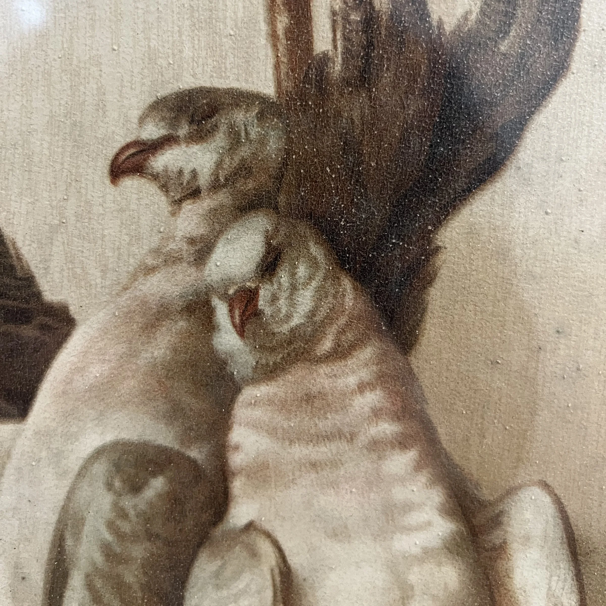 Photo Feb 05 2024, 9 00 14 AM.jpg