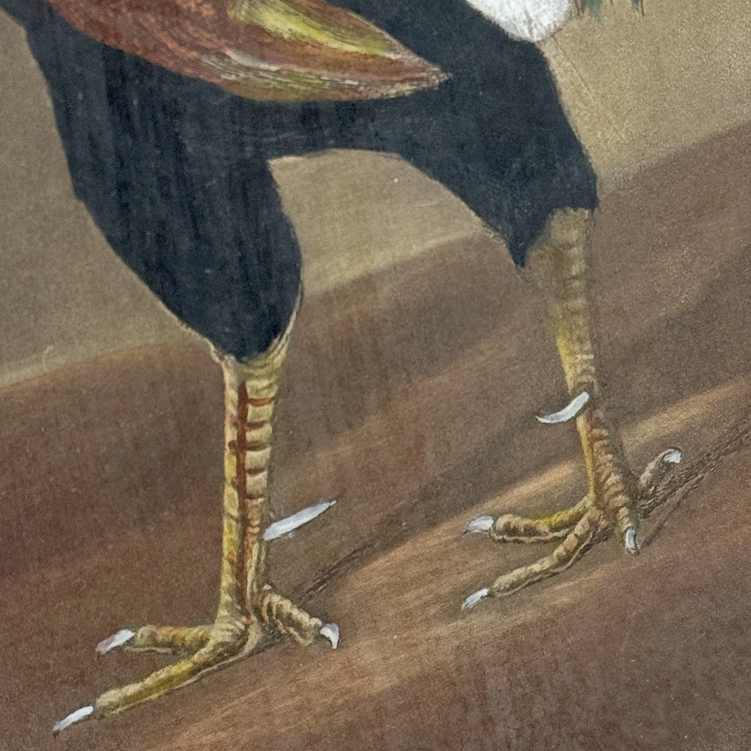 Photo Apr 08 2025, 10 30 12 AM.jpg