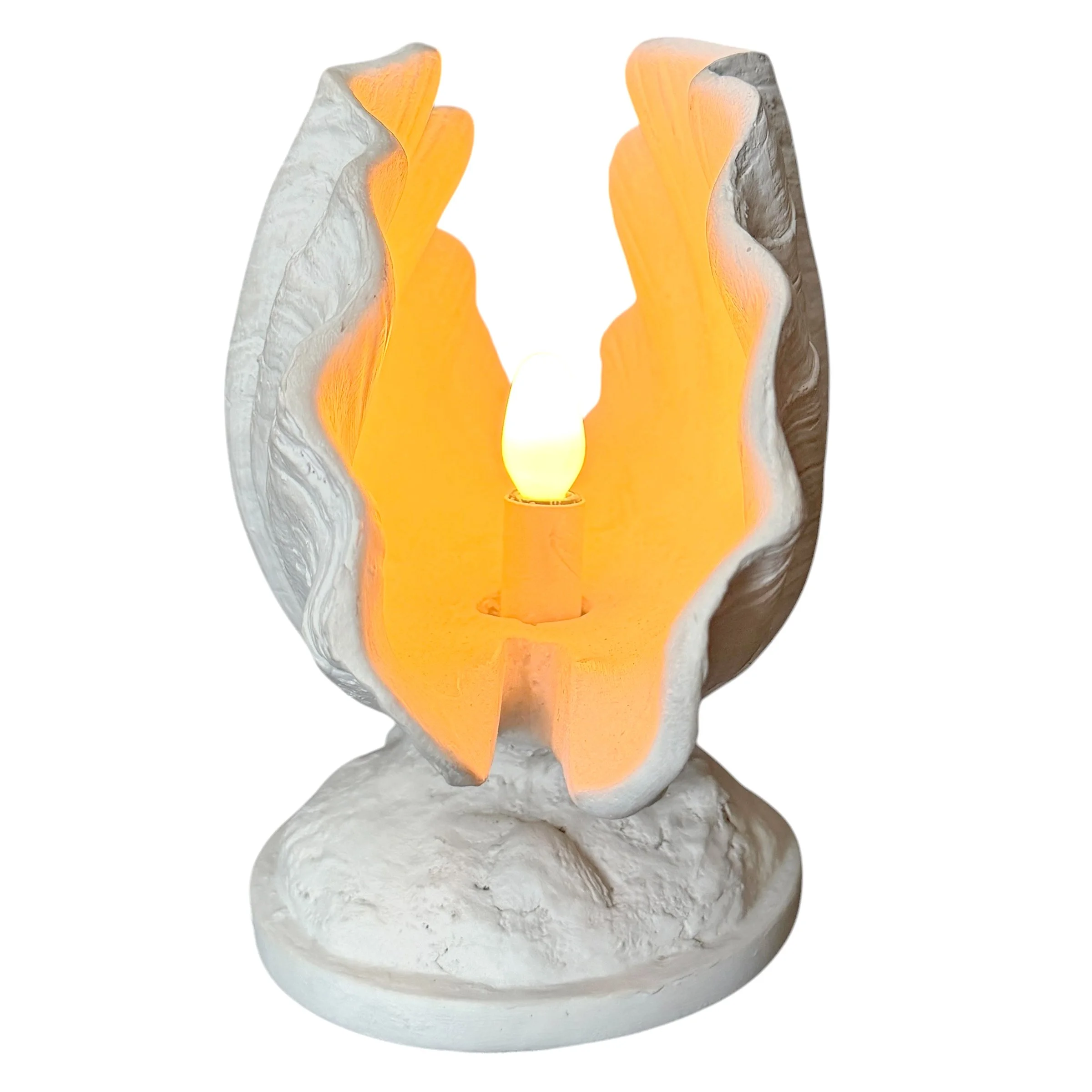 Photo Mar 31 2026, 3 27 08 PM.jpg