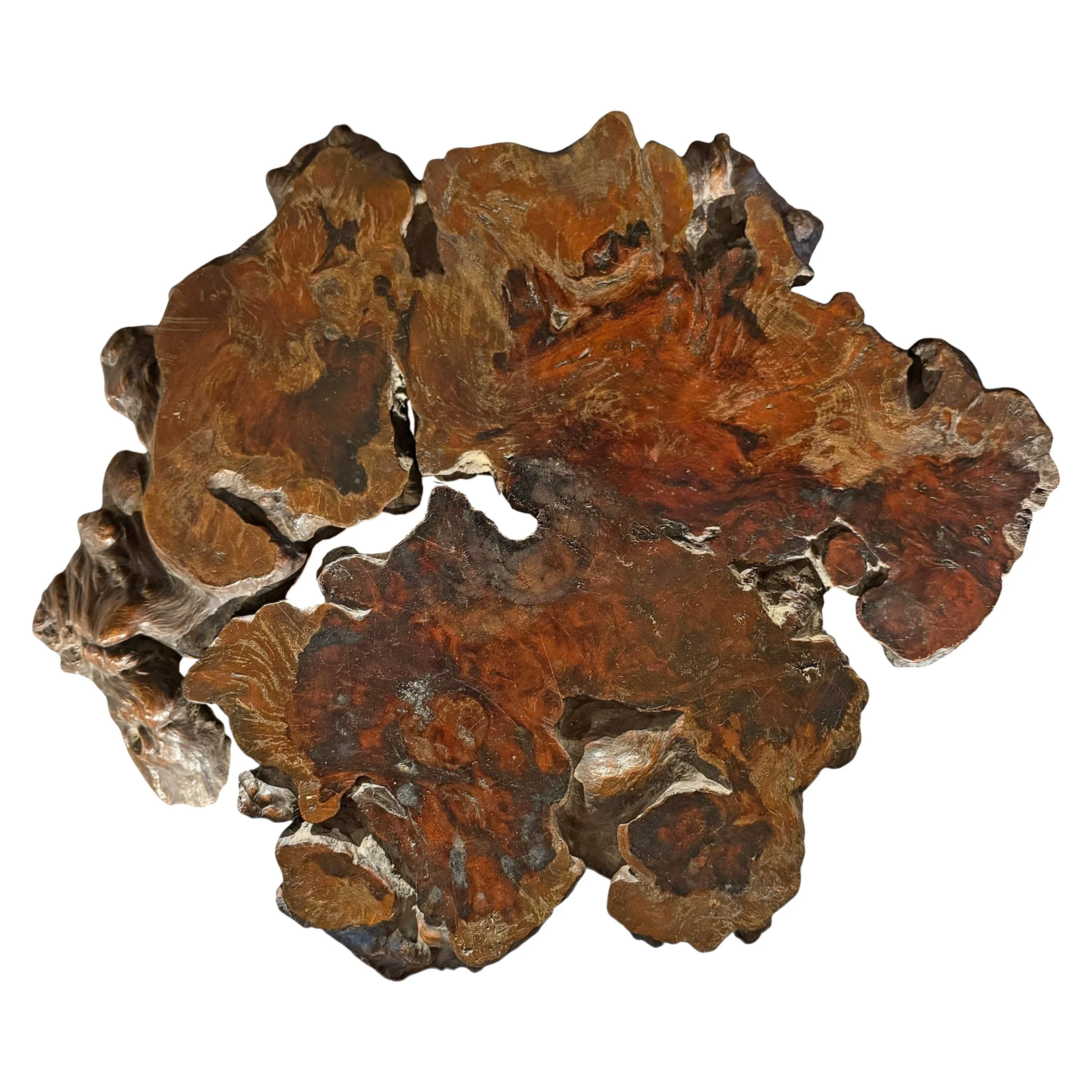 Photo Mar 14 2026, 12 26 04 PM (5).jpg