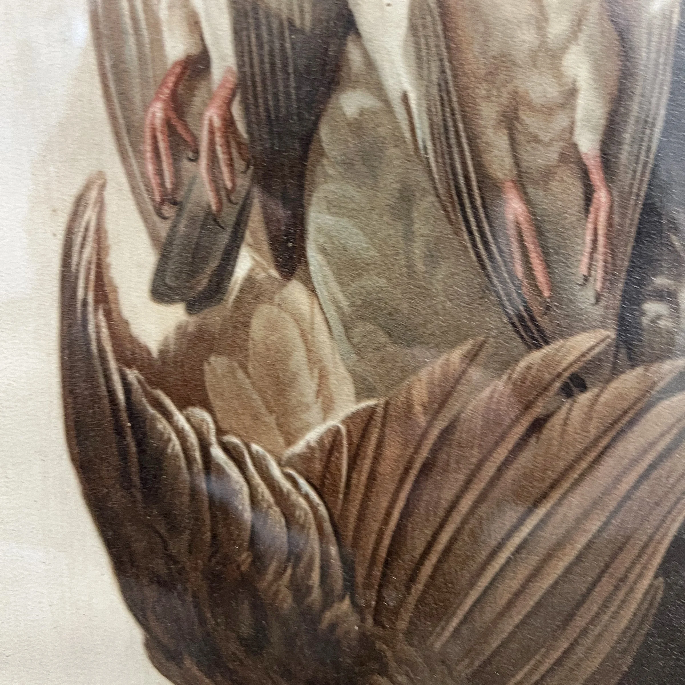 Photo Feb 05 2024, 9 00 18 AM.jpg