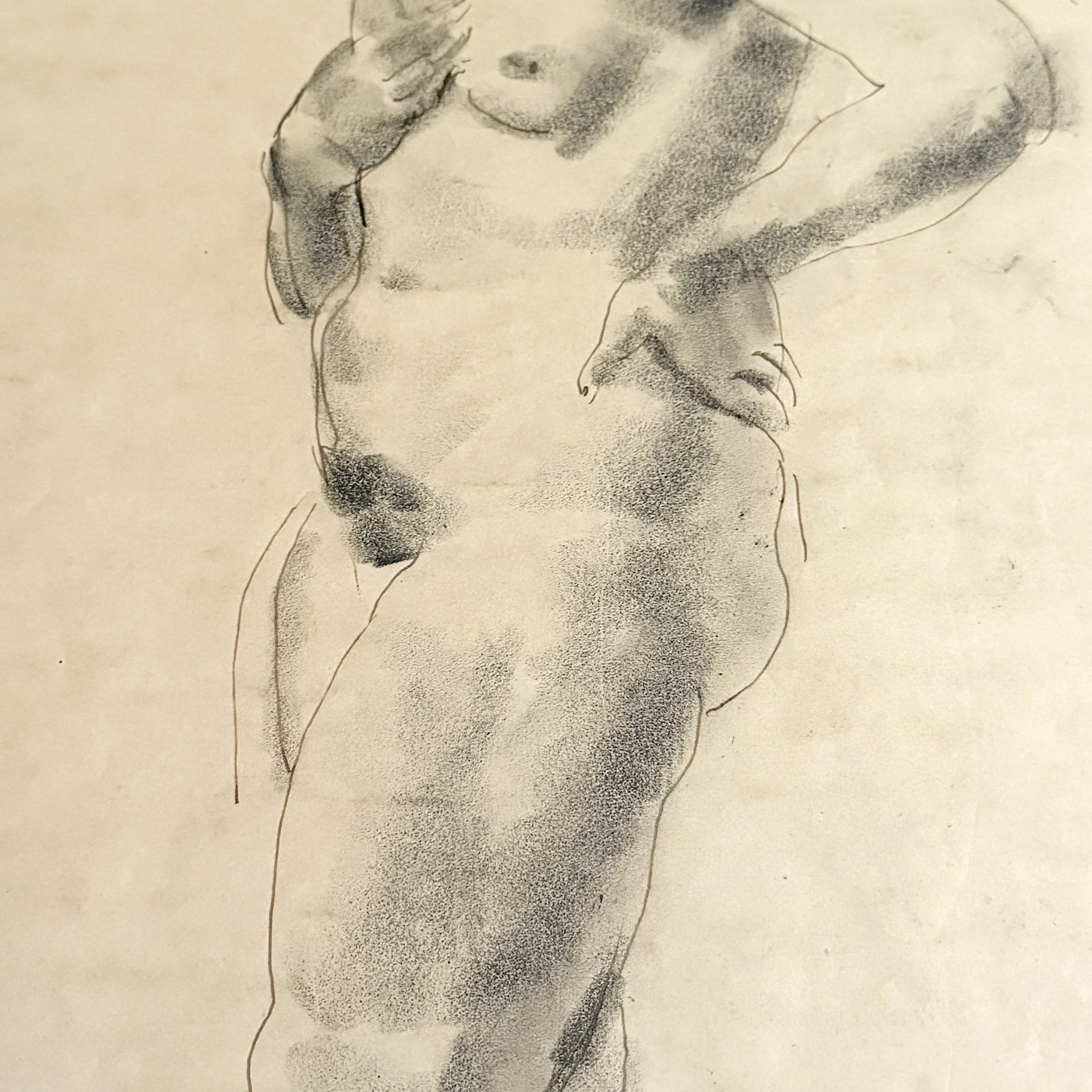 Photo Jan 19 2026, 11 57 22 AM.jpg