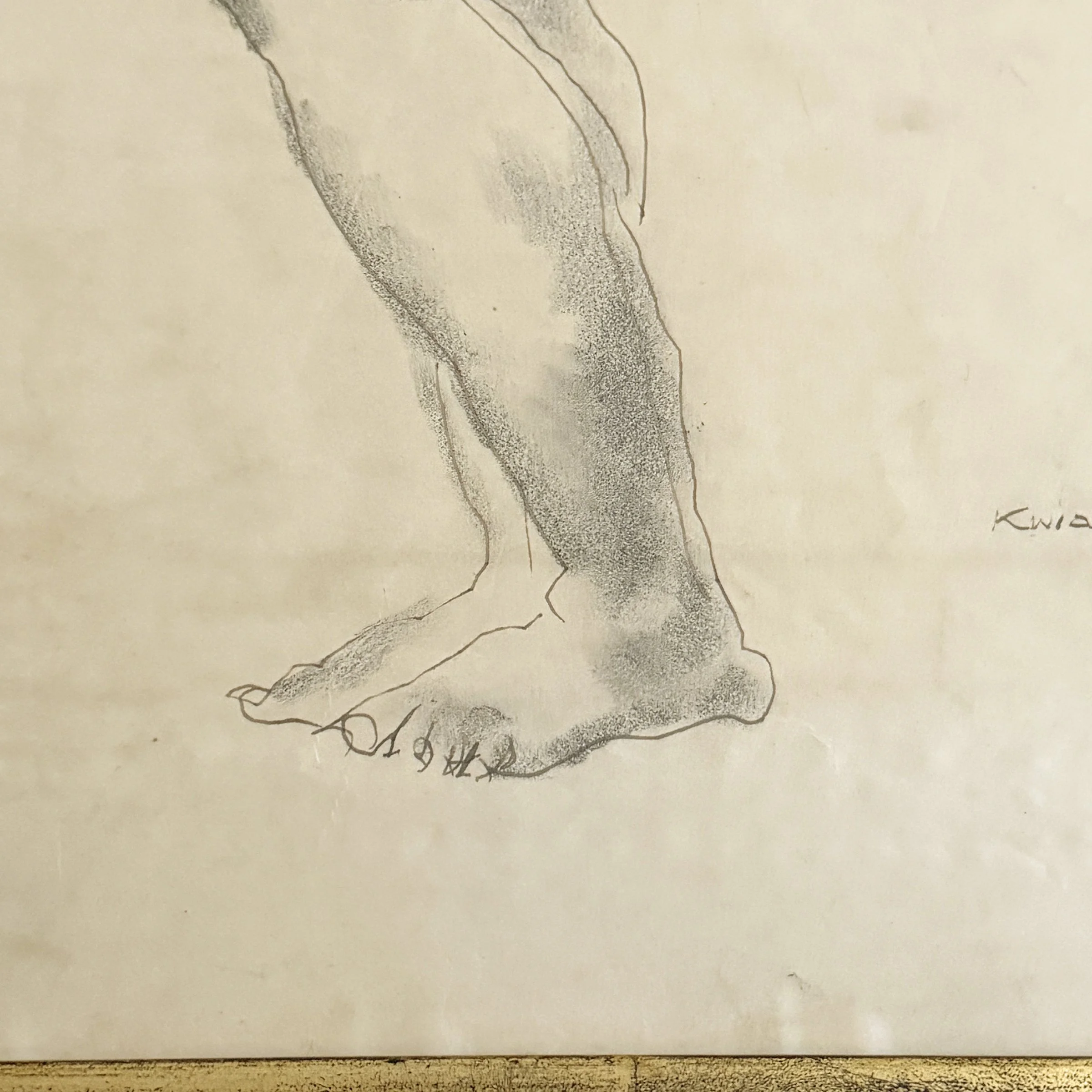 Photo Jan 19 2026, 11 57 16 AM.jpg