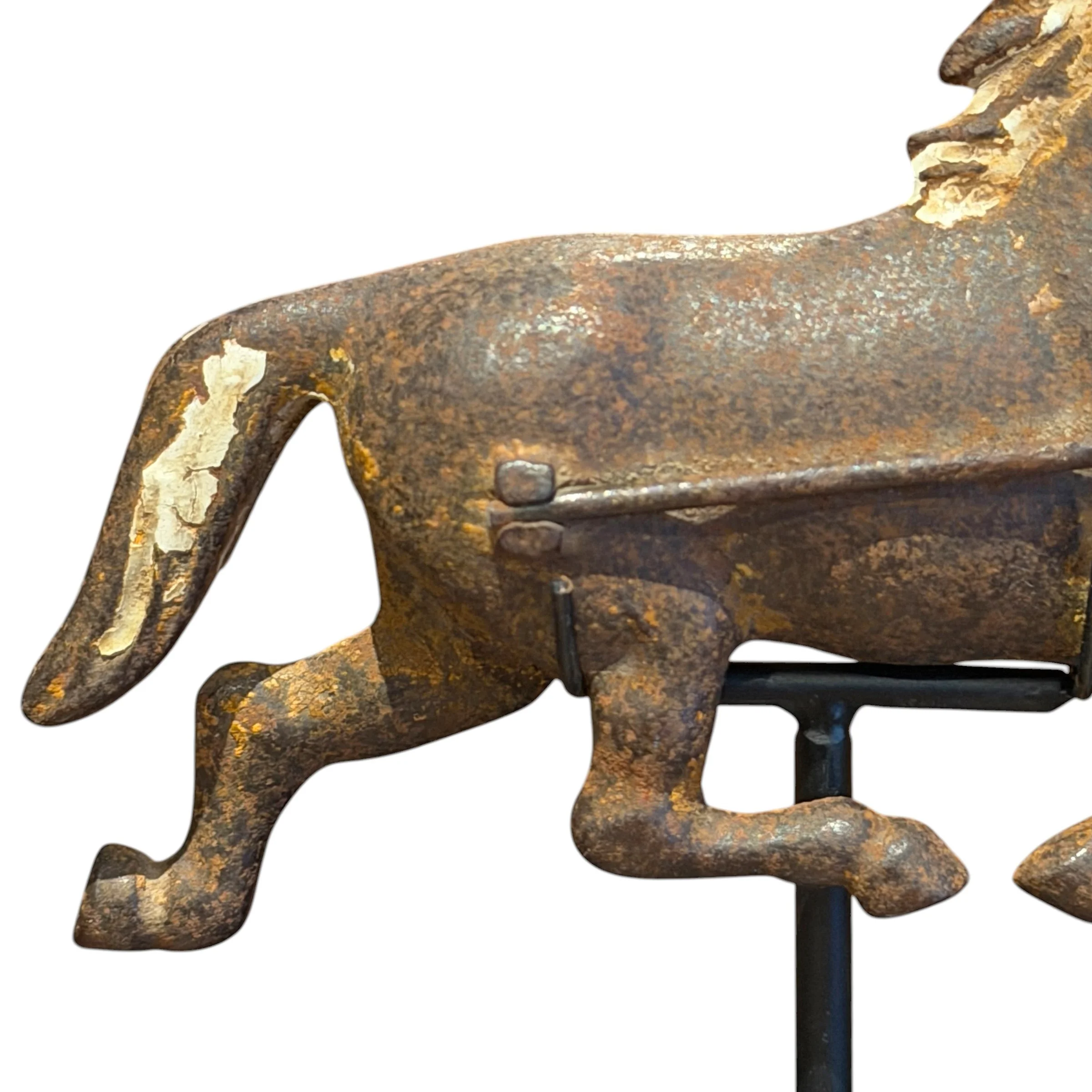 Photo Apr 06 2026, 5 44 42 PM (7).jpg