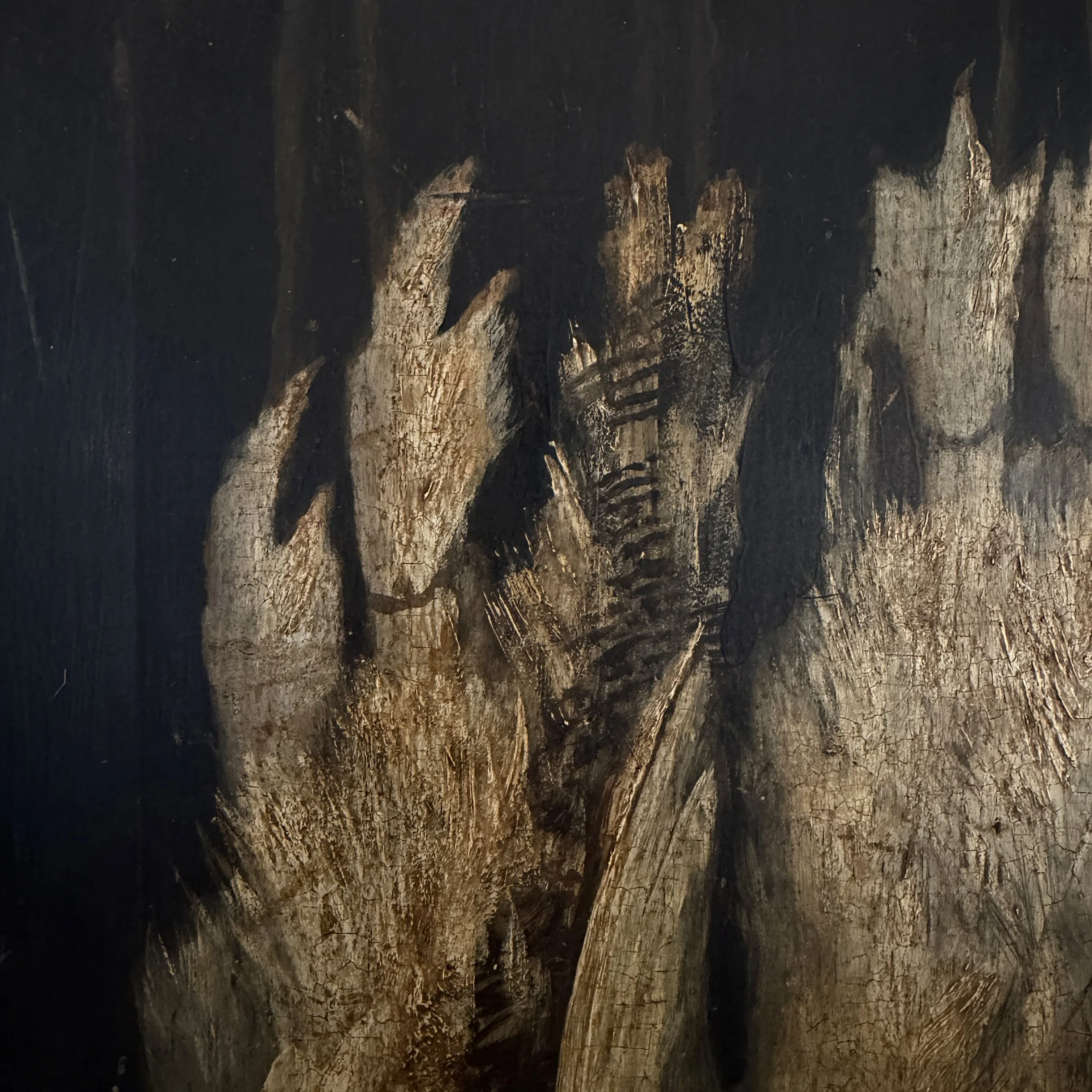 Photo Feb 16 2026, 3 46 59 PM.jpg