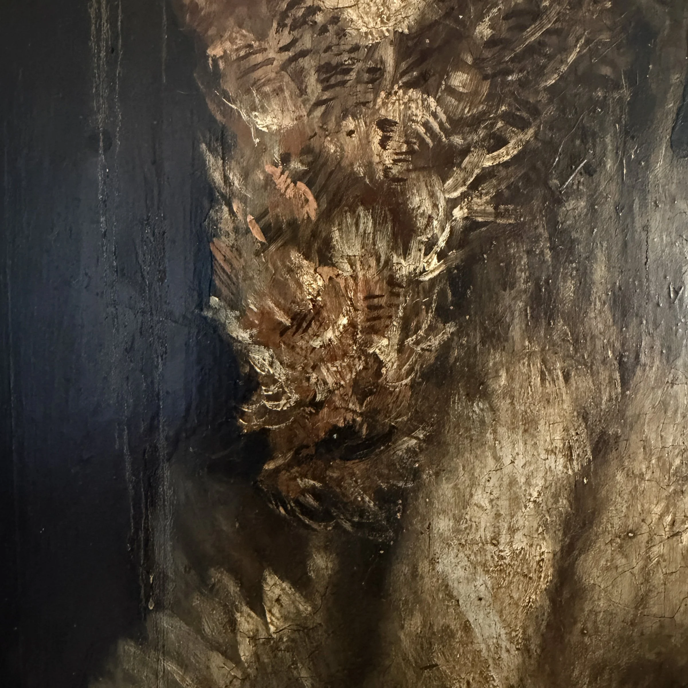 Photo Feb 16 2026, 3 47 55 PM.jpg