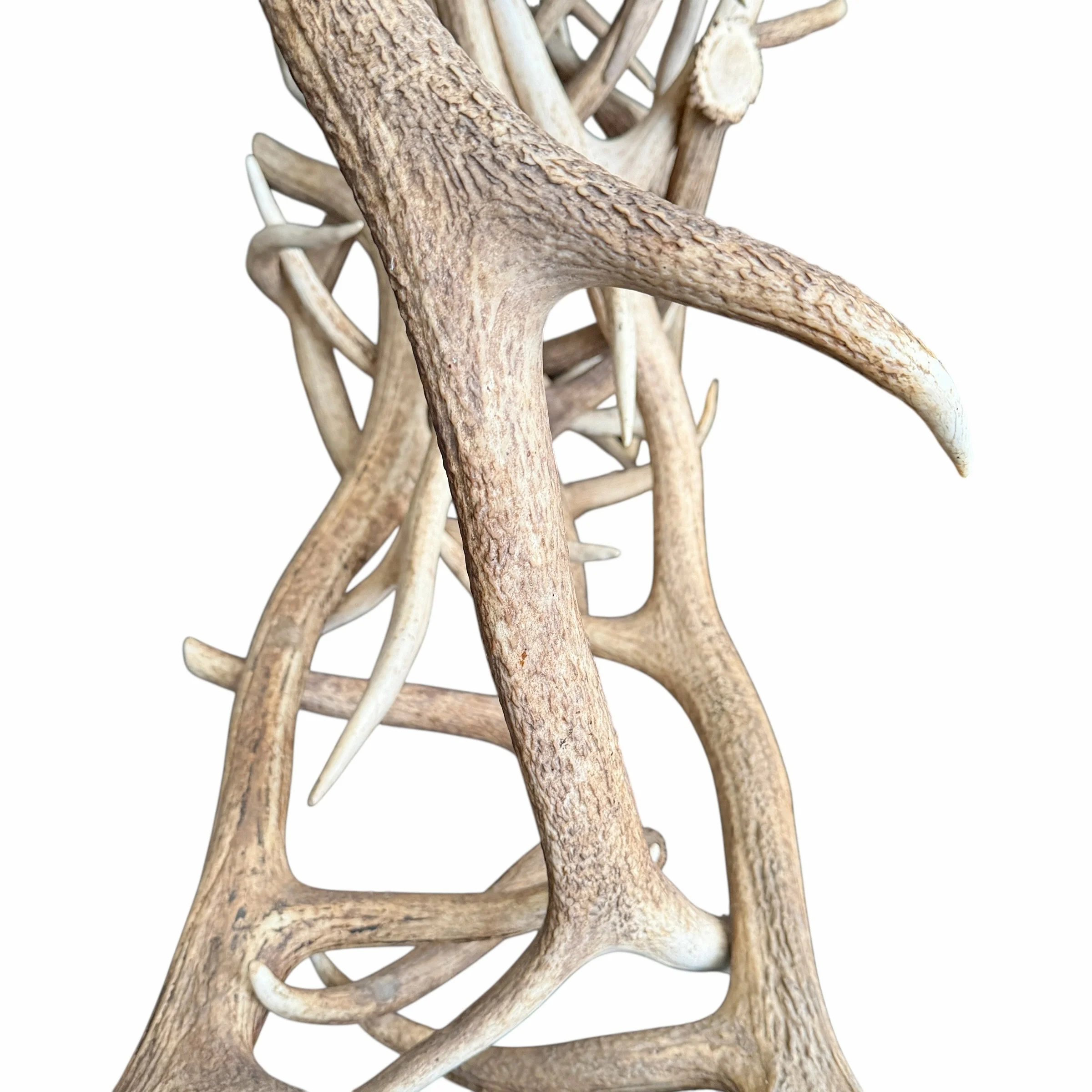 Photo Jan 28 2026, 2 26 49 PM (10) (1).jpg