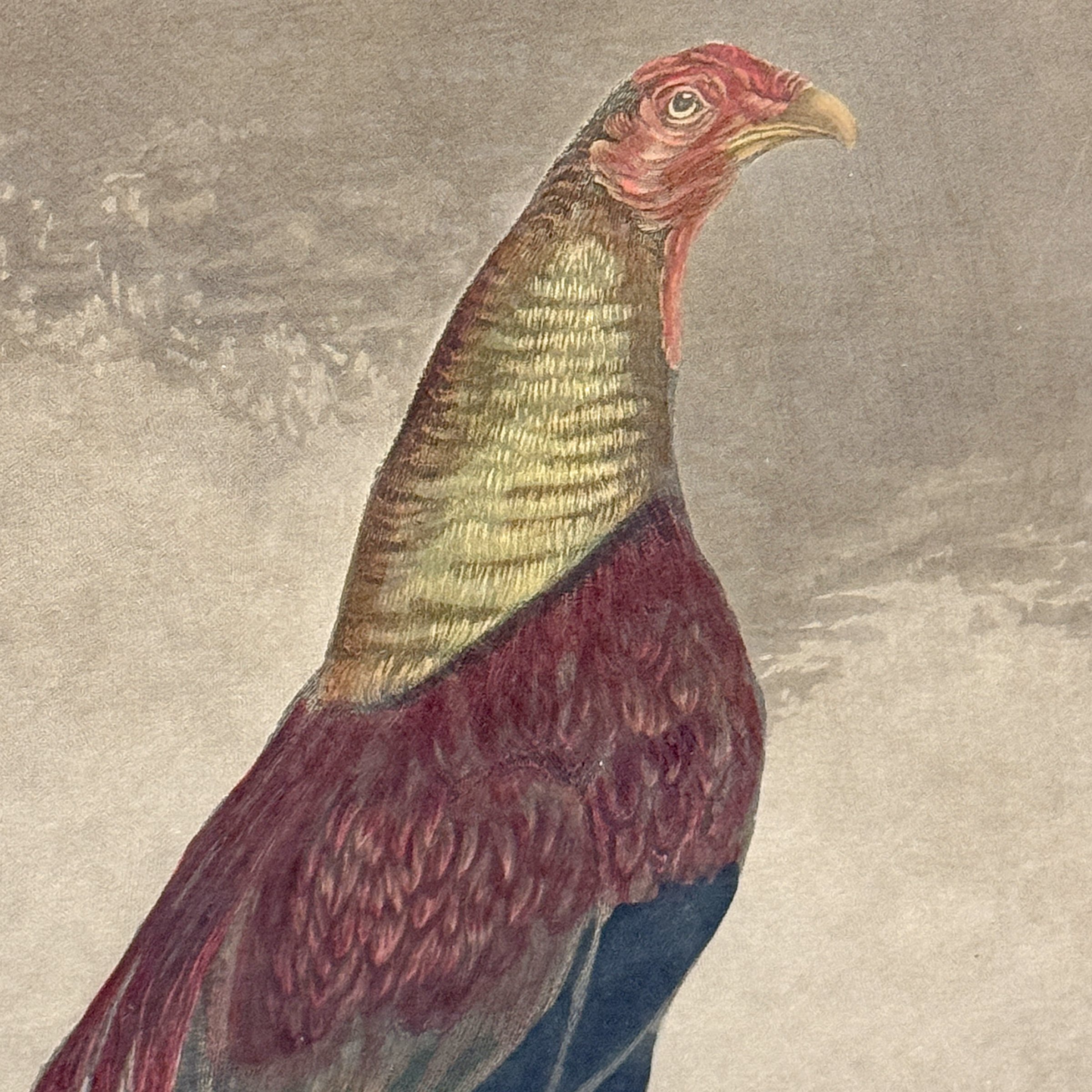 Photo Apr 08 2025, 10 29 09 AM.jpg