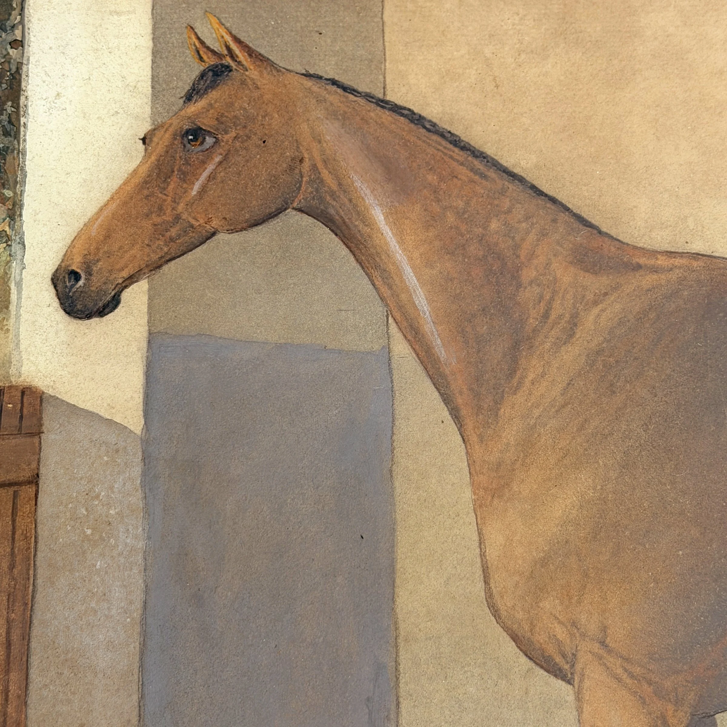 Photo Nov 17 2025, 11 55 25 AM.jpg