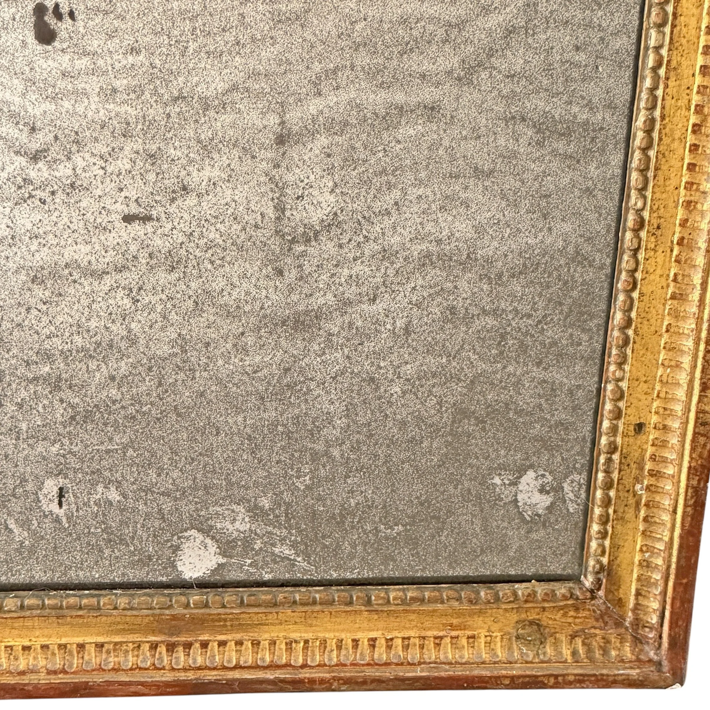 Photo Feb 16 2026, 11 16 59 AM (18).jpg