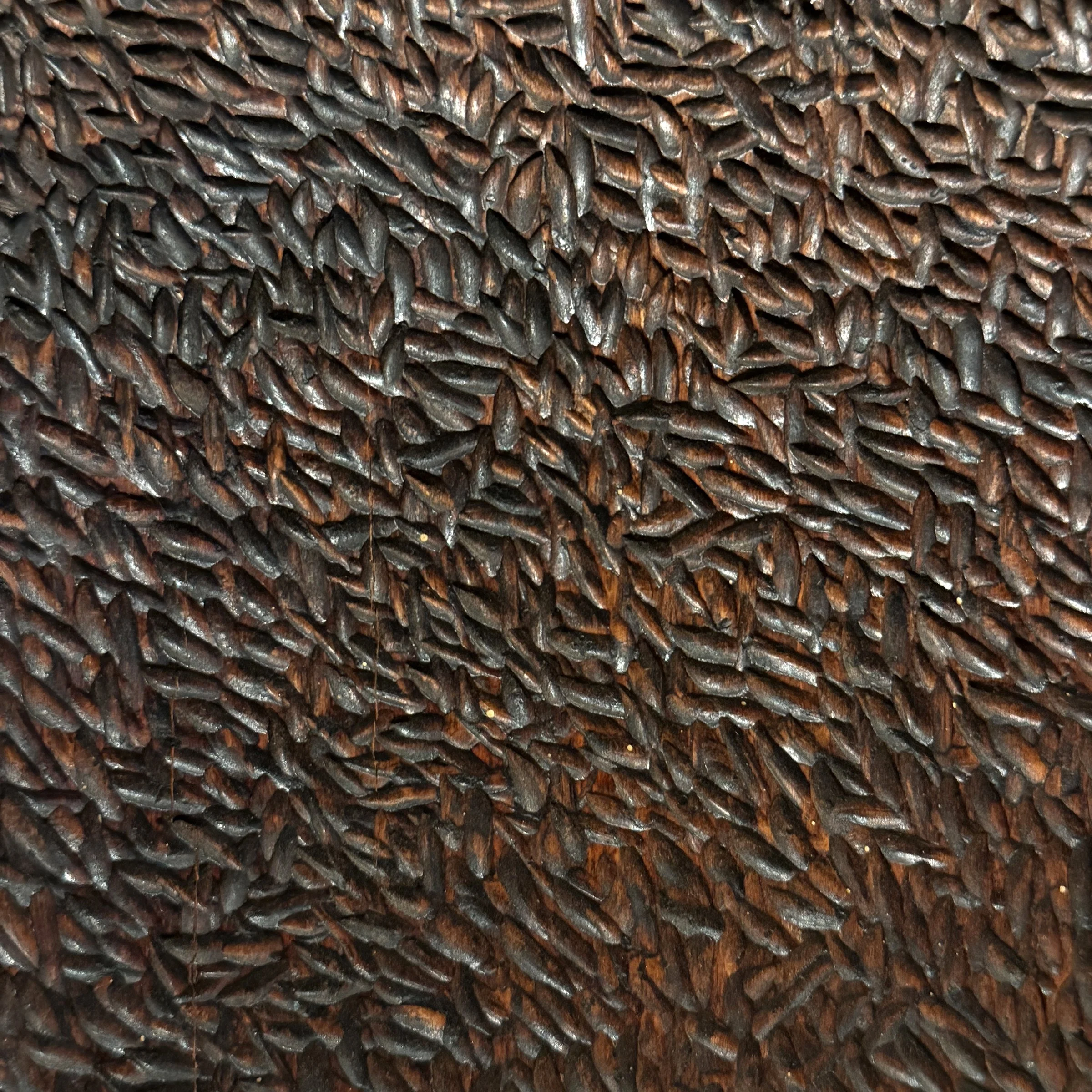 Photo Mar 09 2026, 5 13 23 PM.jpg