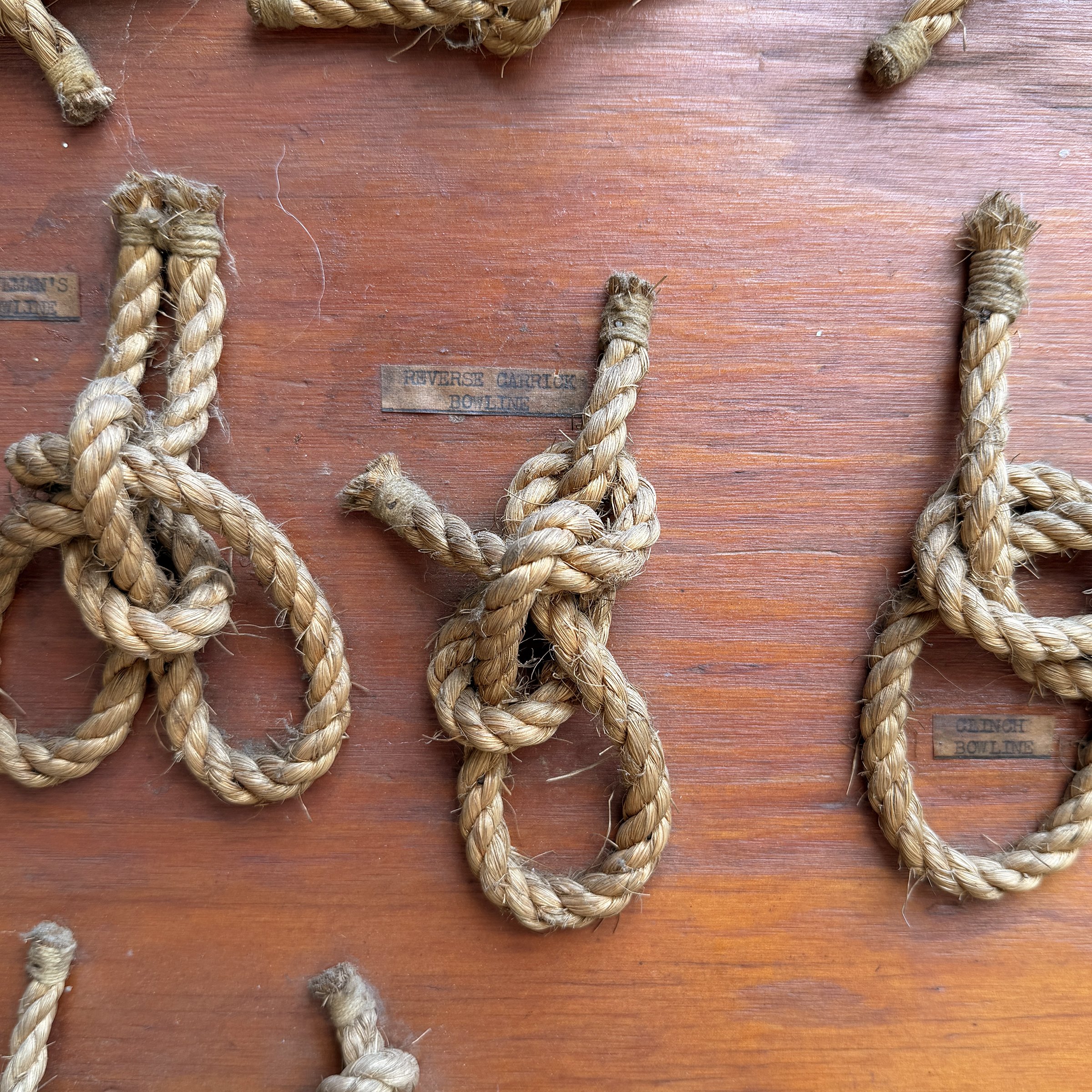 Photo Aug 12 2026, 12 32 48 PM.jpg
