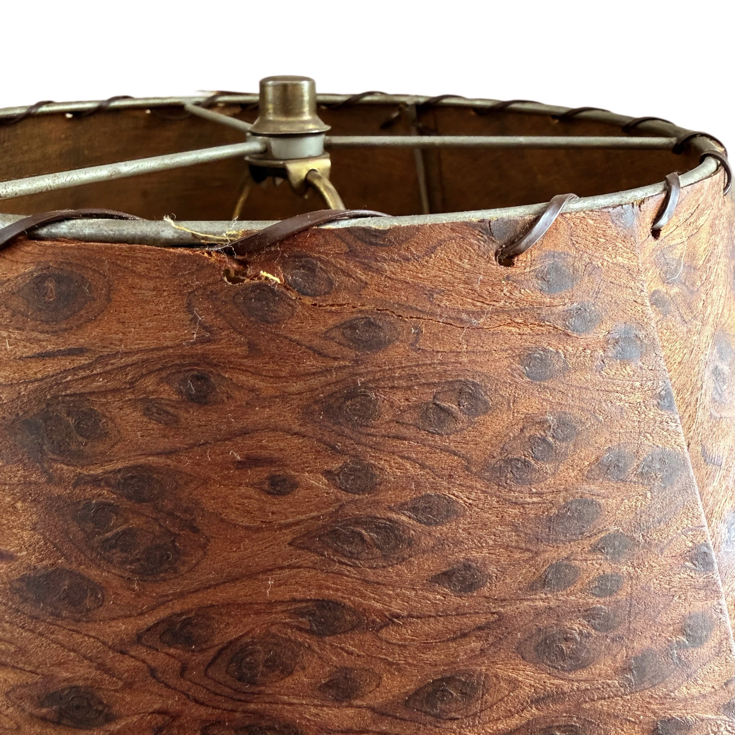 Photo Mar 18 2026, 9 59 58 AM (15).jpg